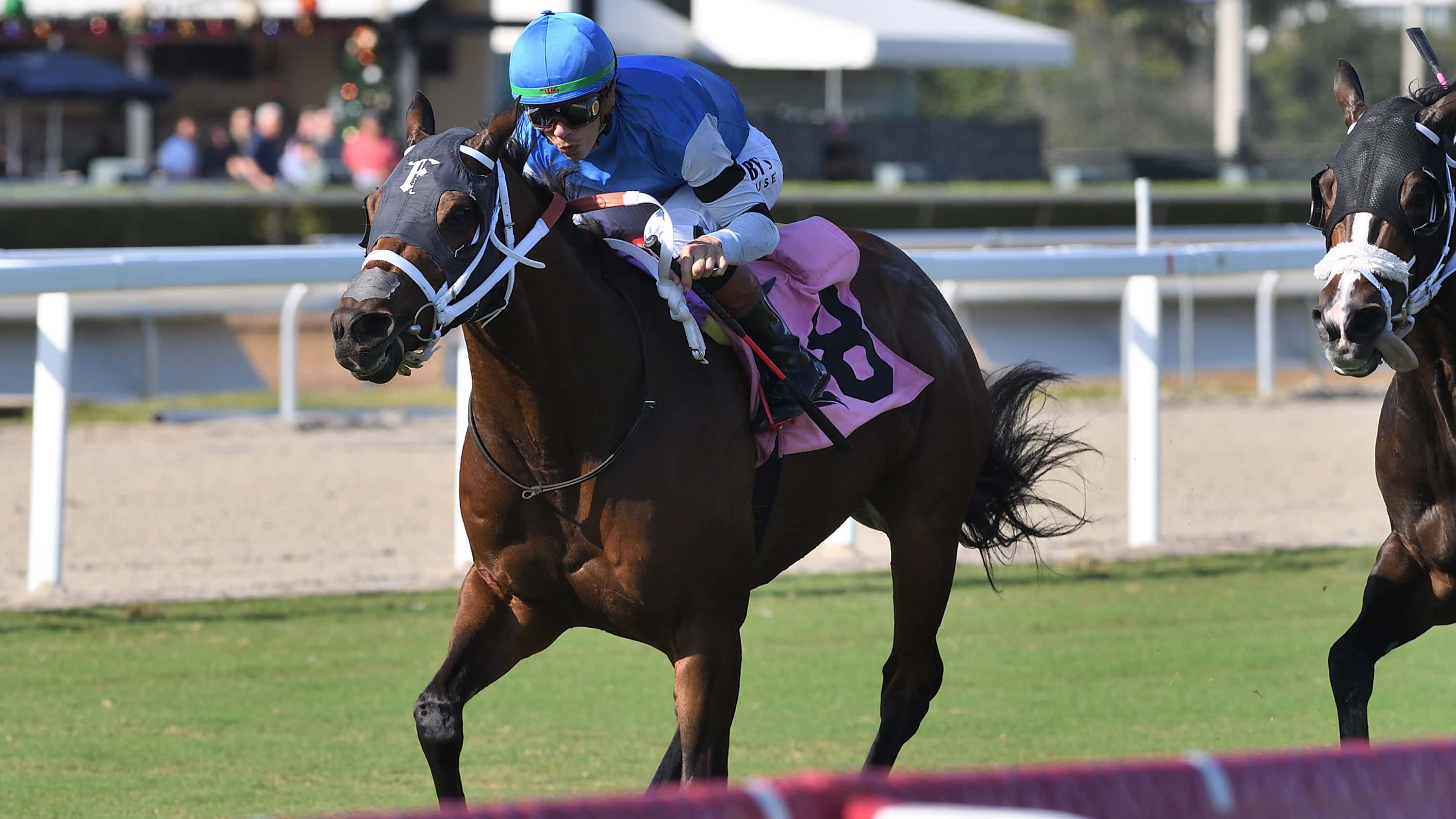 Fawkes Well-Represented Saturday in Four Stakes at Gulfstream and Saratoga
