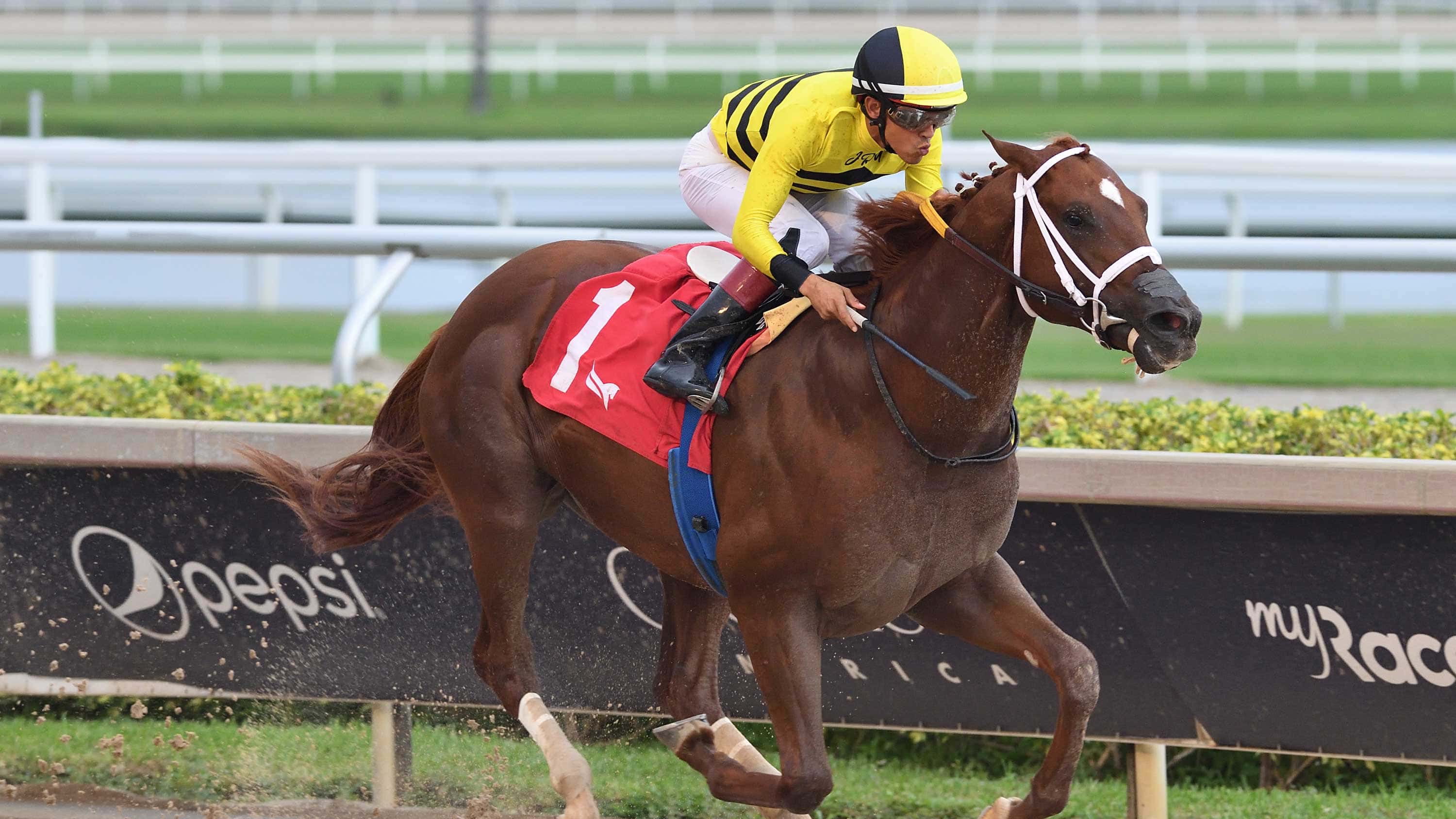 Hammond Puts Troubled Debut Behind Him in Strong Maiden Win