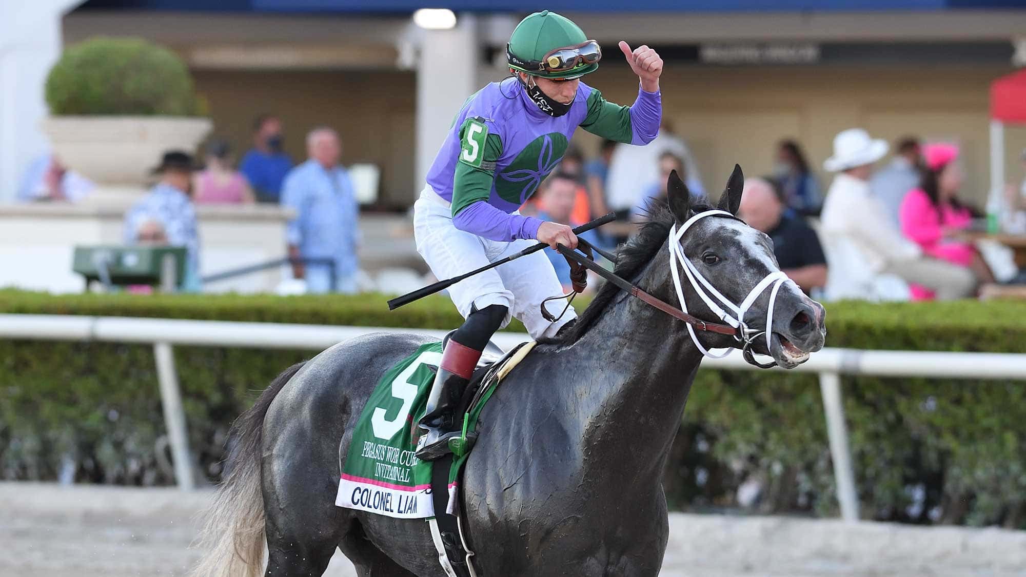 Colonel Liam the Pegasus Turf 4