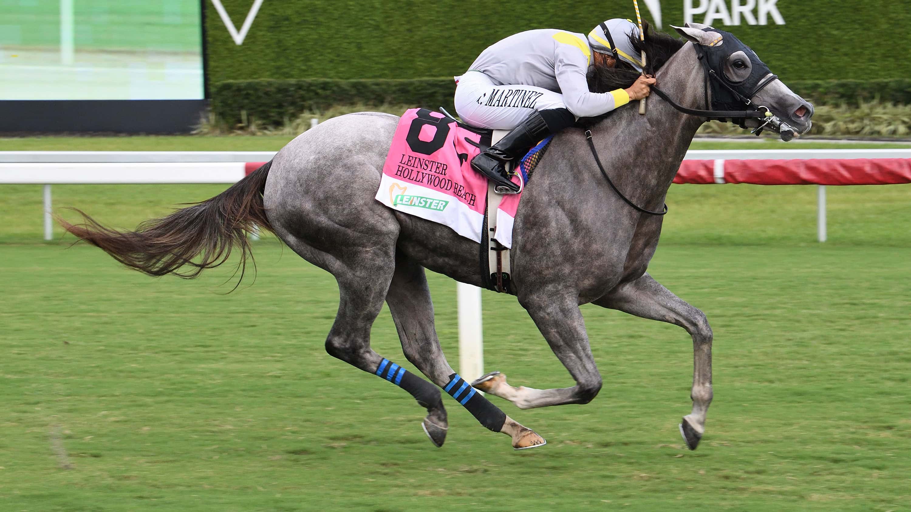 Lennilu ‘Perfect’ Following Leinster Hollywood Beach Romp