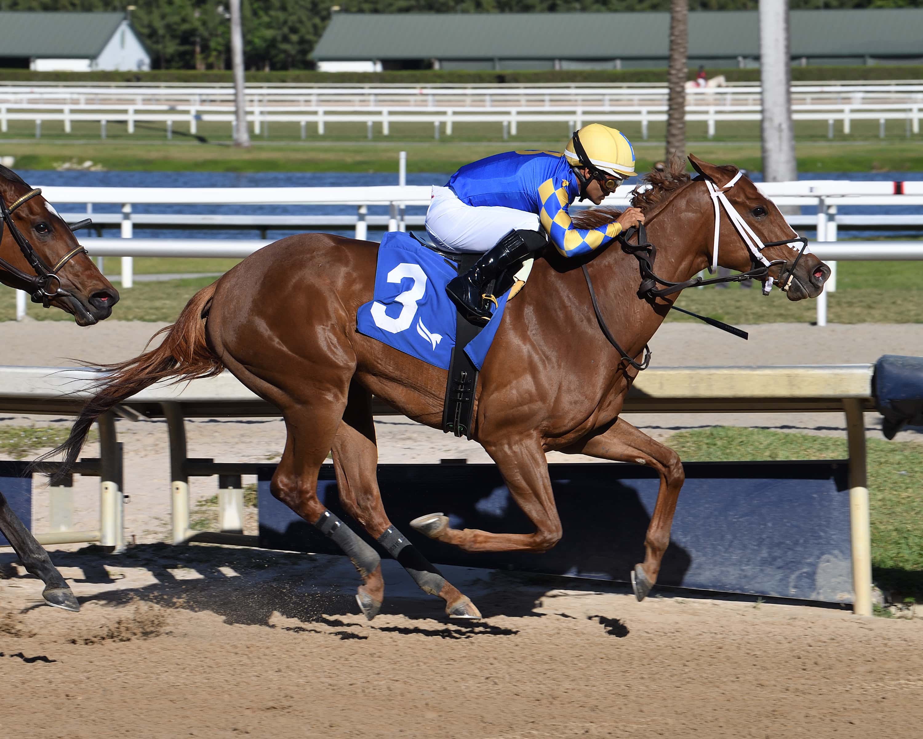 Anna’s Promise Training Toward Kentucky Oaks (G1)