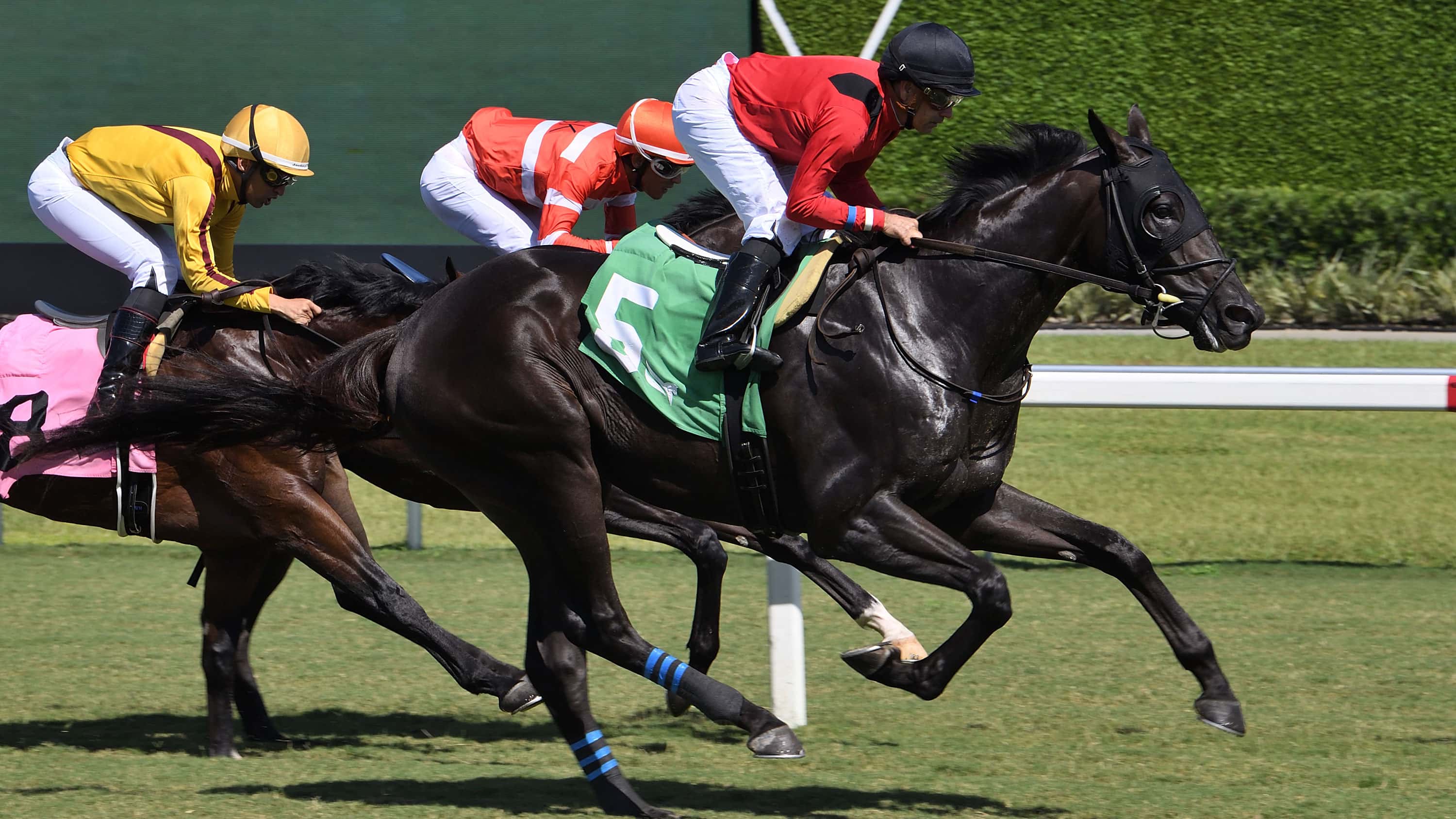 Biancone Enlists I Know I Know in Saturday’s Armed Forces