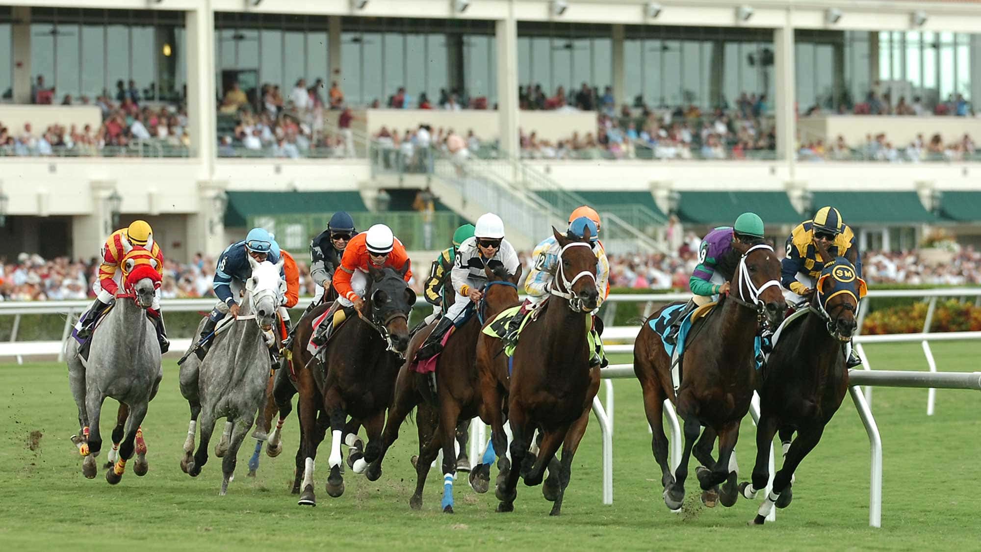gulfstream-park-first-turn