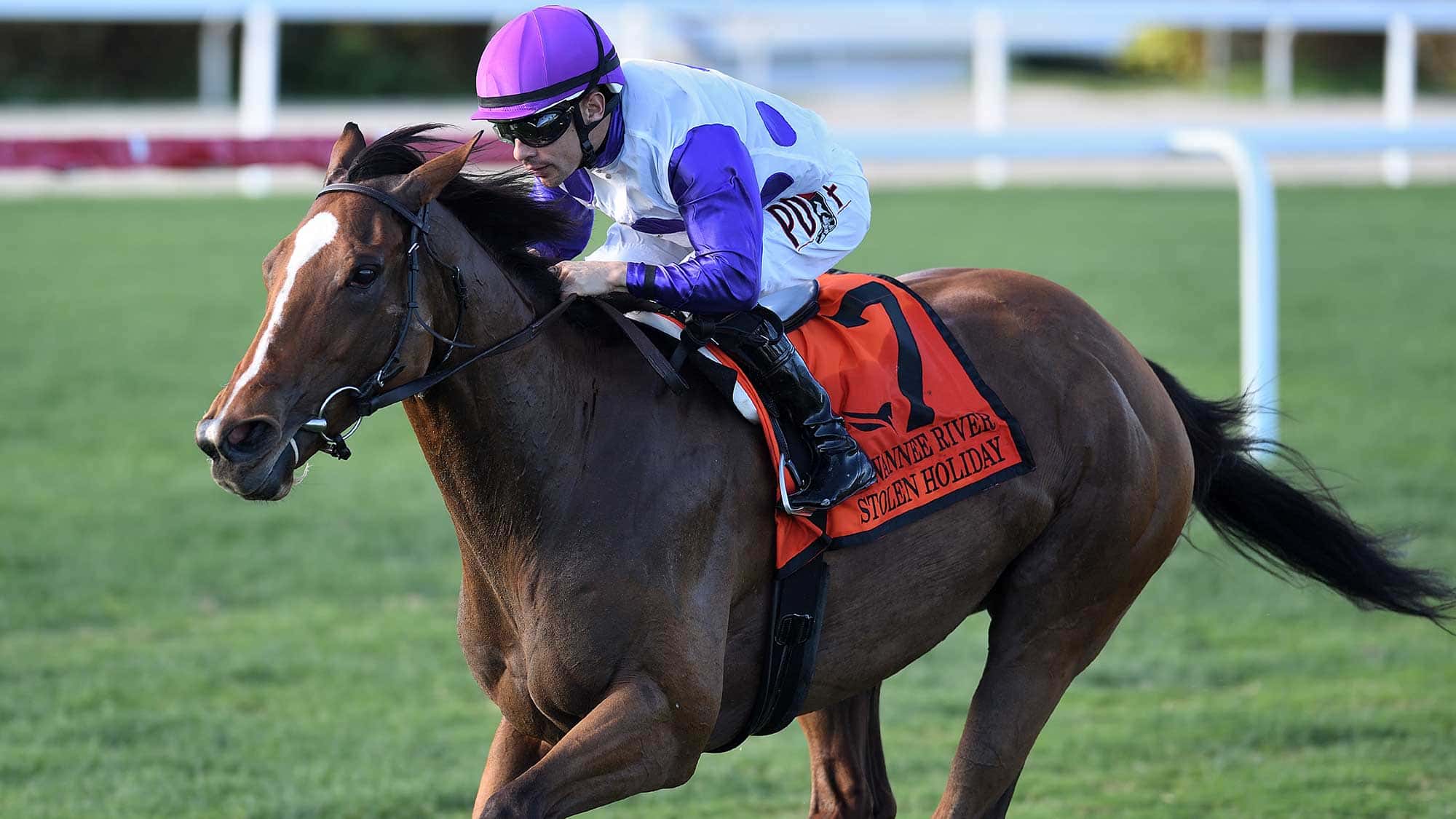 Stolen-Holiday-the-Suwanee-River