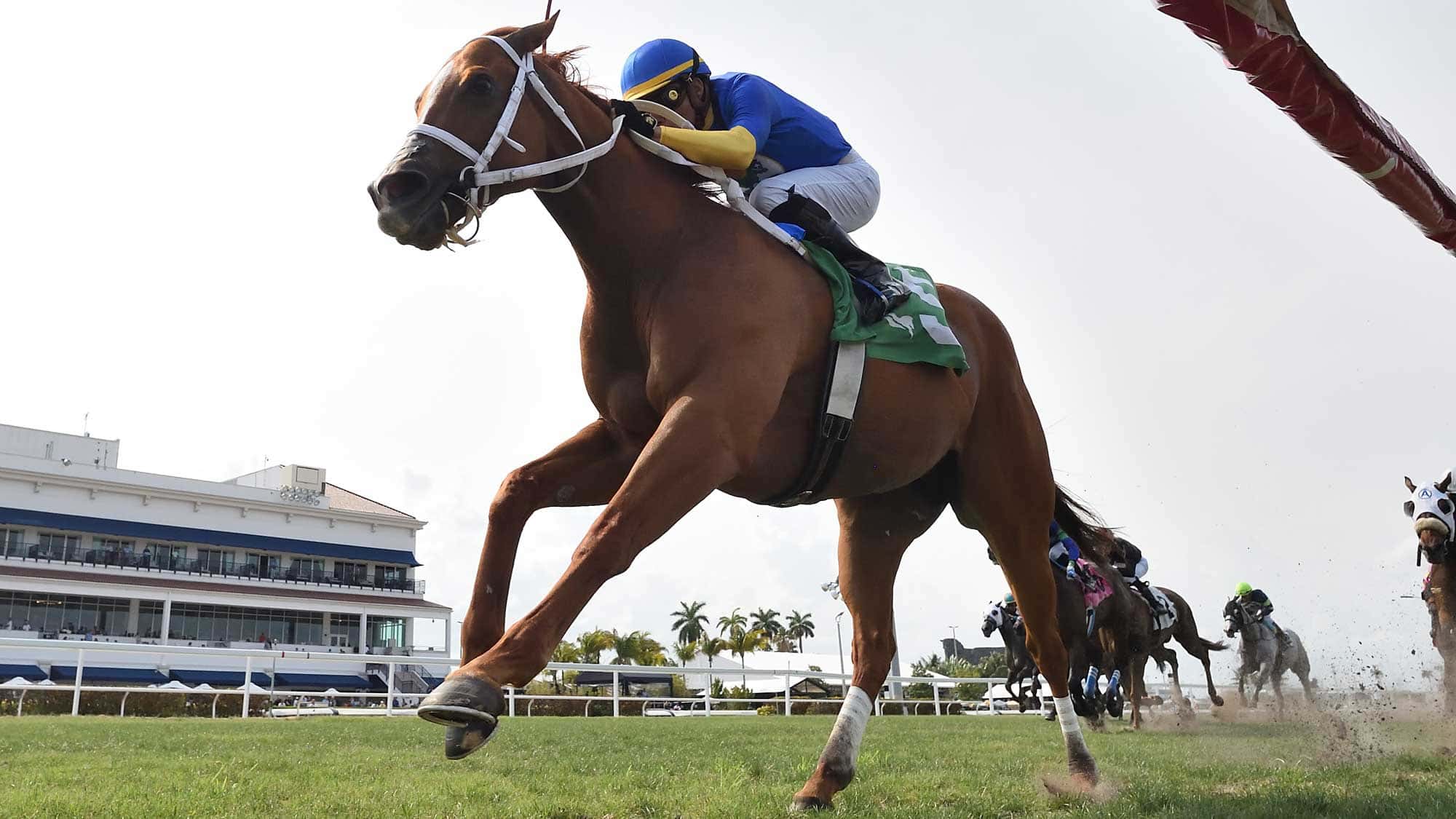 Yes-I-Am-Free-the-Sunny-Isles