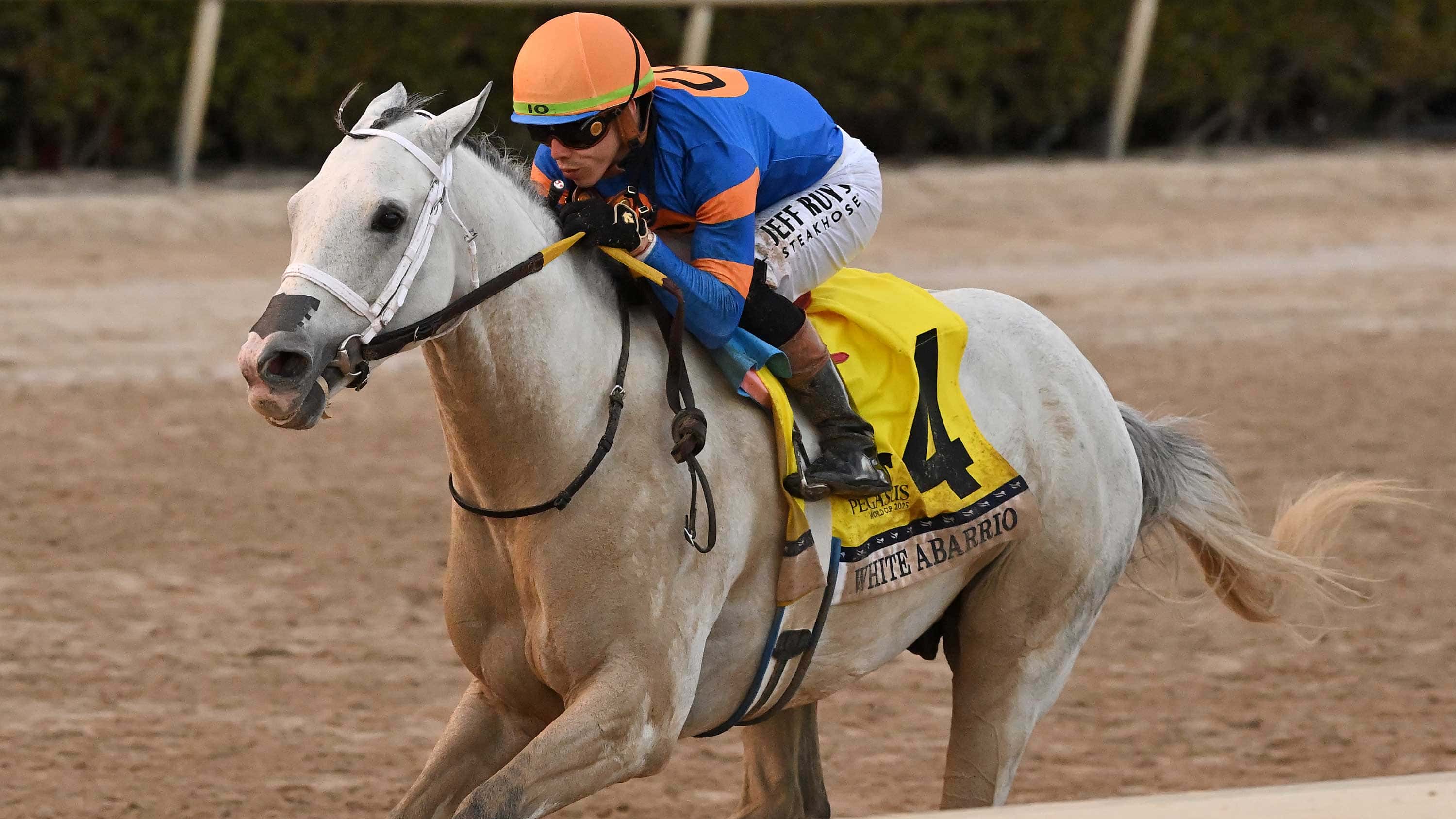 Saffie Joseph Jr. to Follow Winning Formula with White Abarrio
