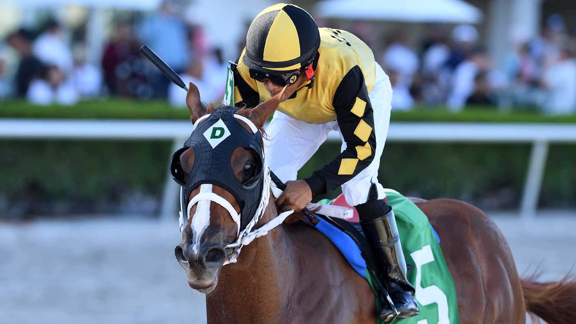 Awesome-Strong-the-FSS-Affirmed