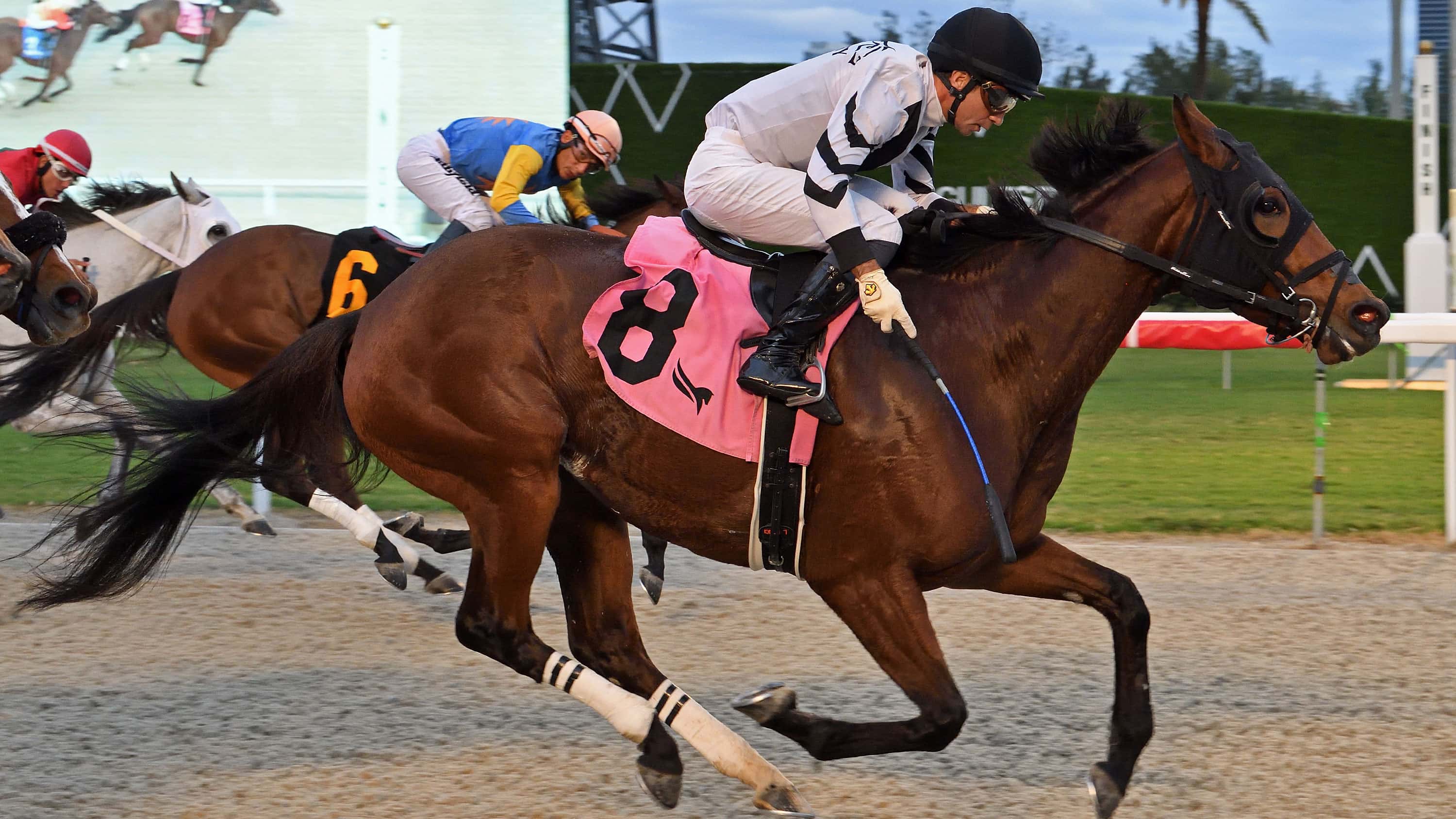 No Valla Proves to Be Wise Claim with Daring Kathy Win