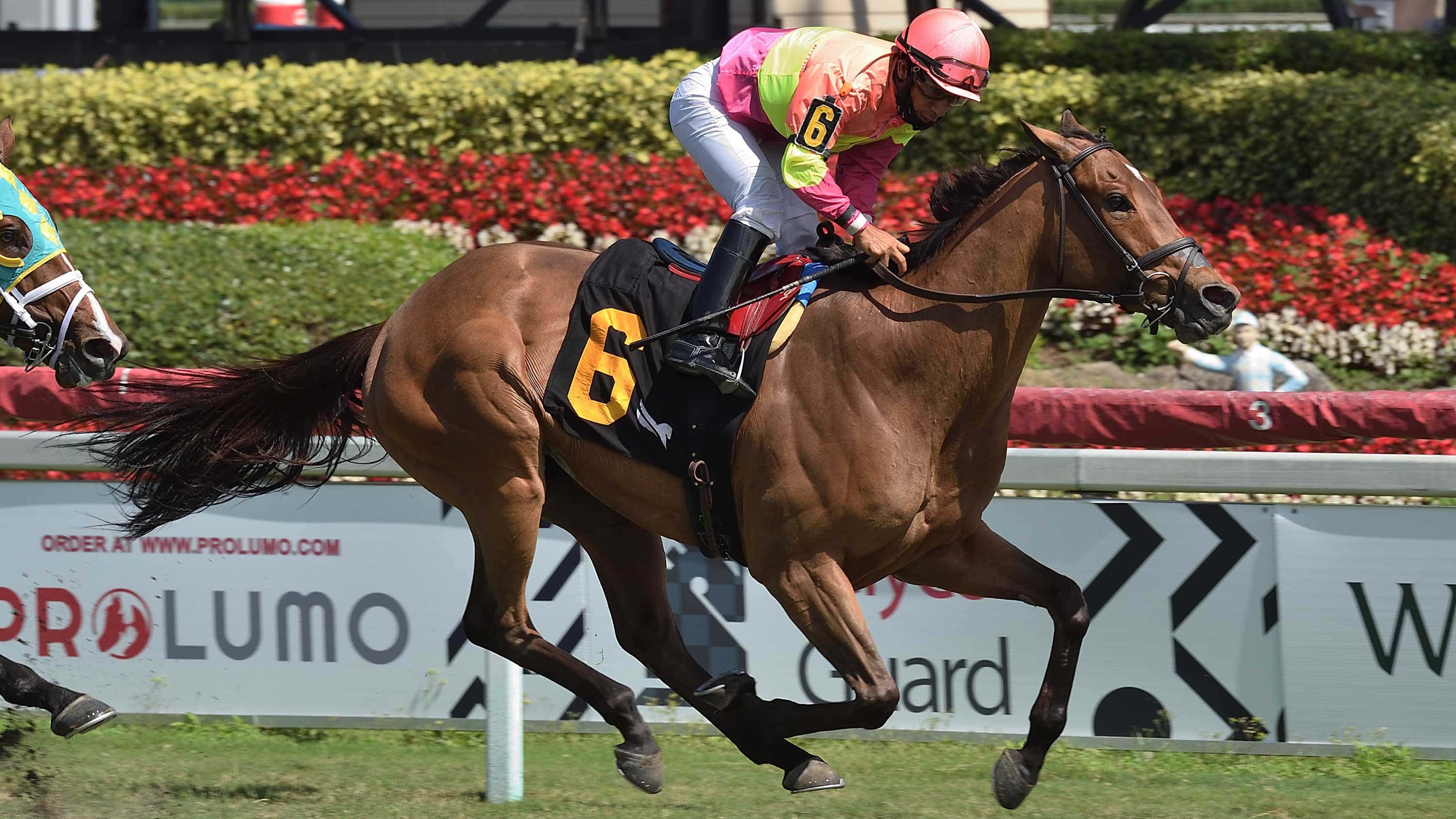 Phantom-Currency-the-Mac-Diarmida-2