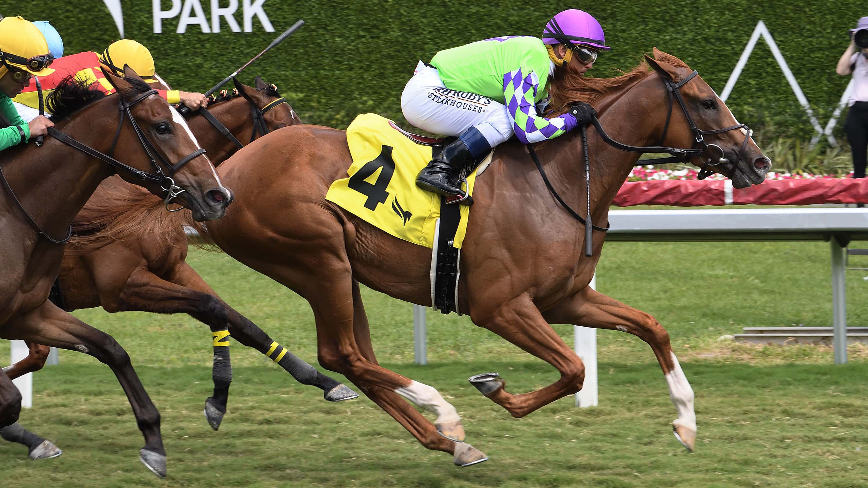 Vive Veuve Seeks Return to Winning Form in Friday’s Cellars Shiraz