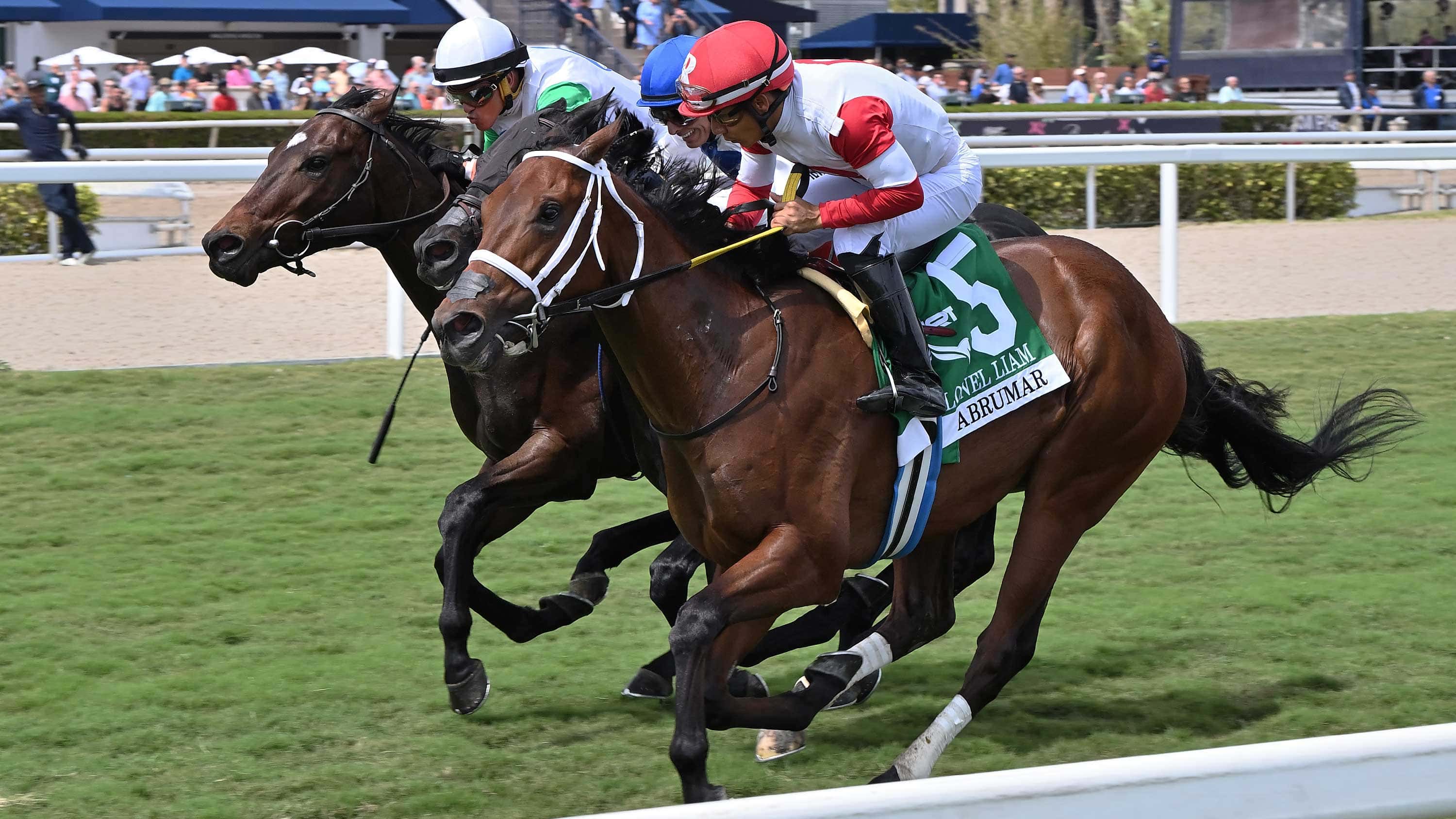 Cash Equity, Abrumar Lead Trainer Saffie Joseph Jr.’s 4-Horse Brigade in $75,000 Mr. Steele Stakes