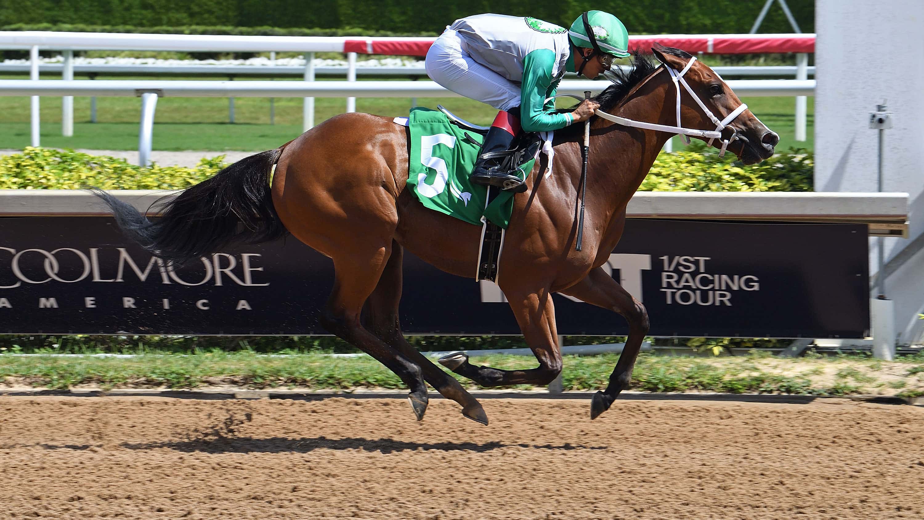 Arindel Looking Ahead with Grade 3 Winner Mythical