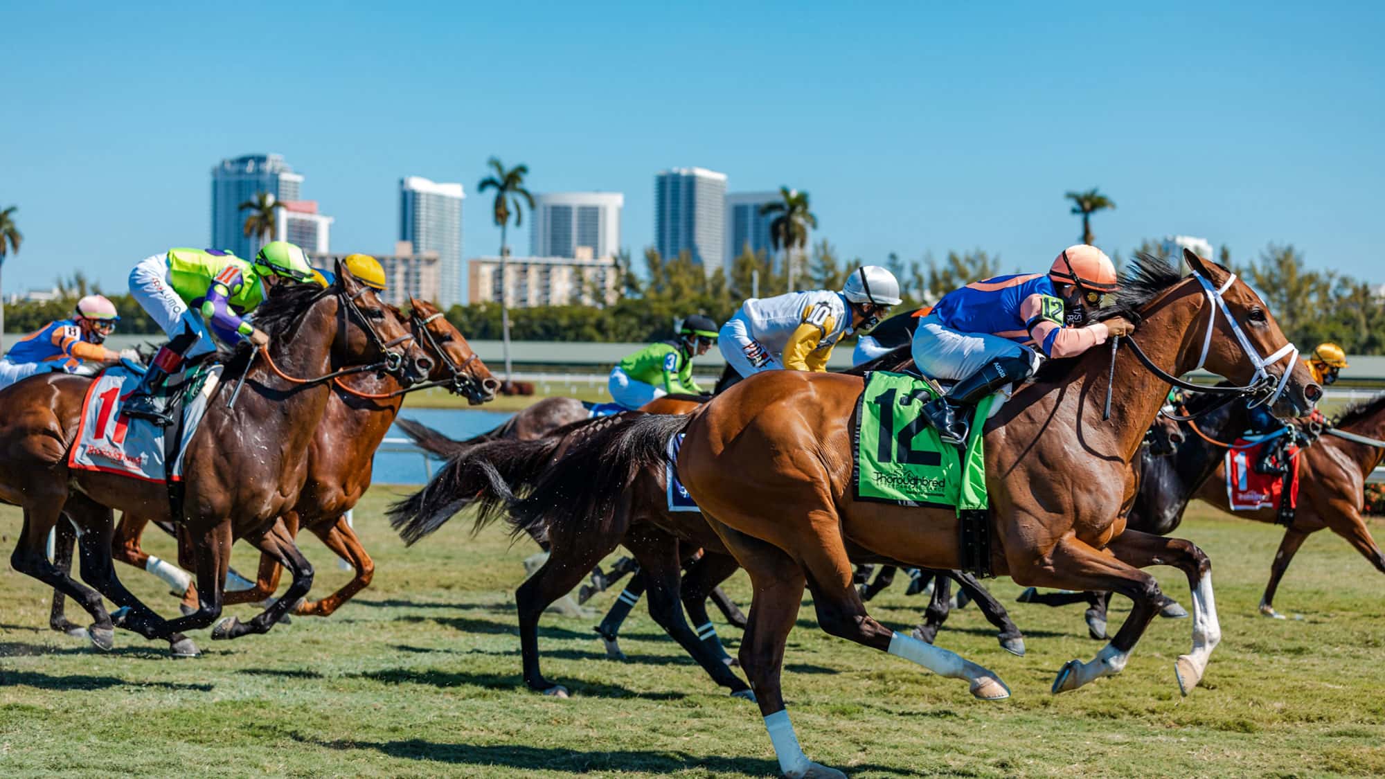 gulfstream-park-racing