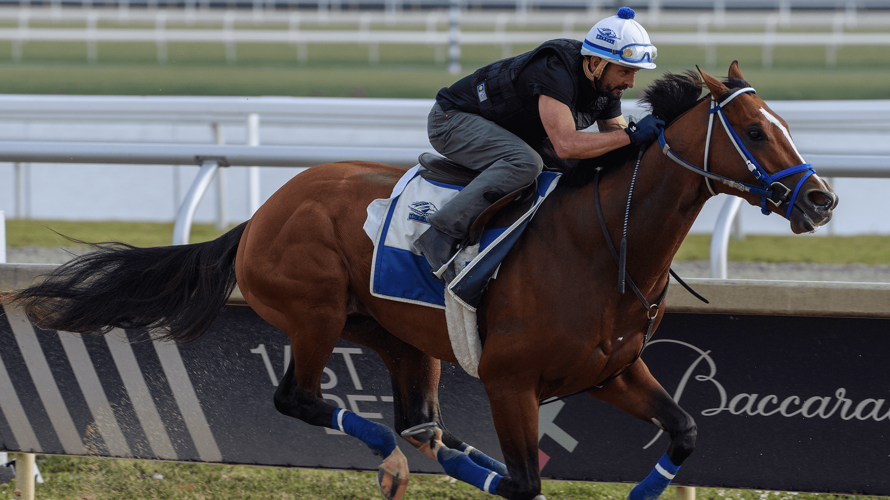 Kentucky Derby Winner Mystik Dan ‘Happy’ in Final Work for Pegasus