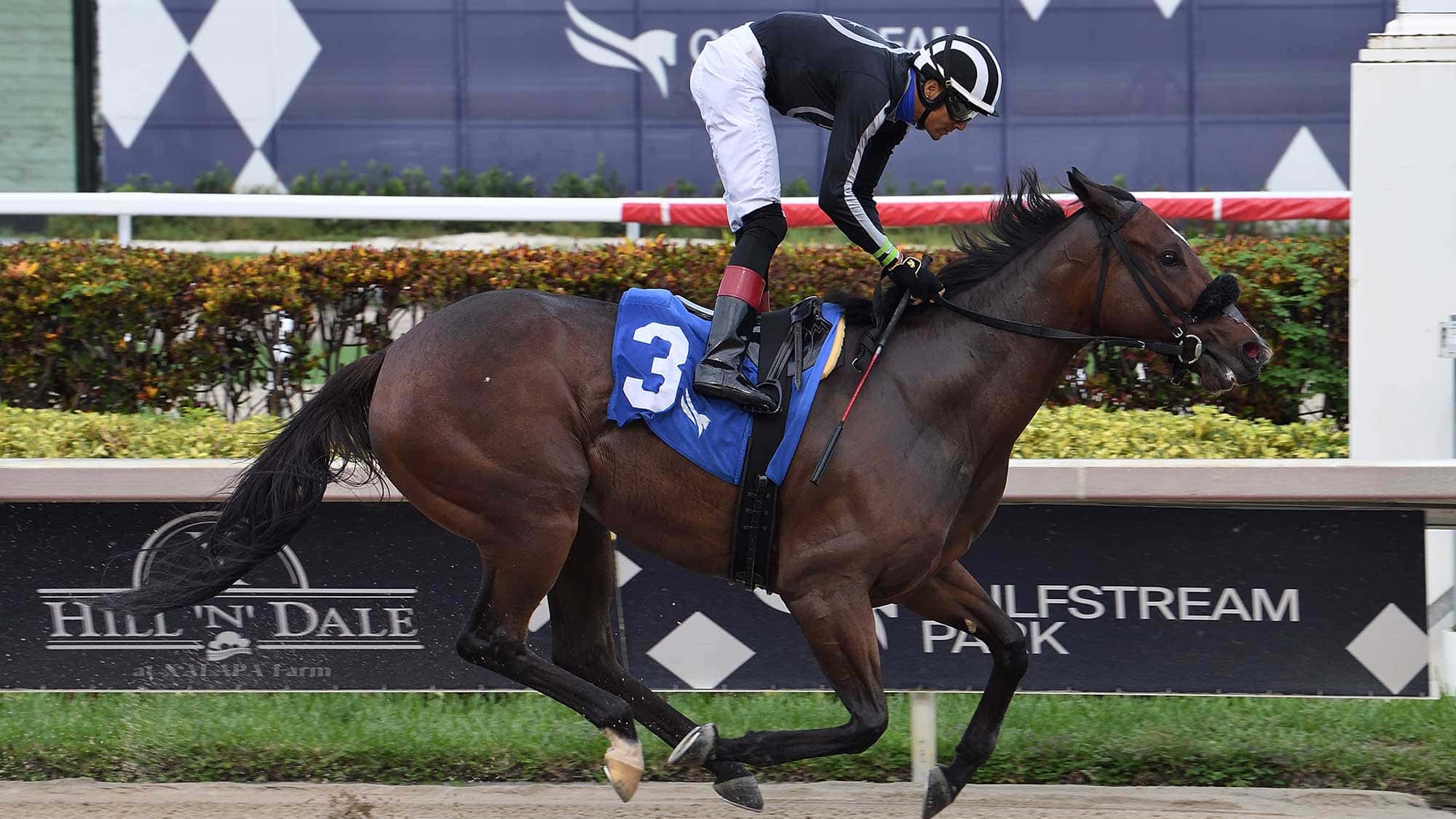 R-Adios-Jersey-the-Sheer-Drama-0