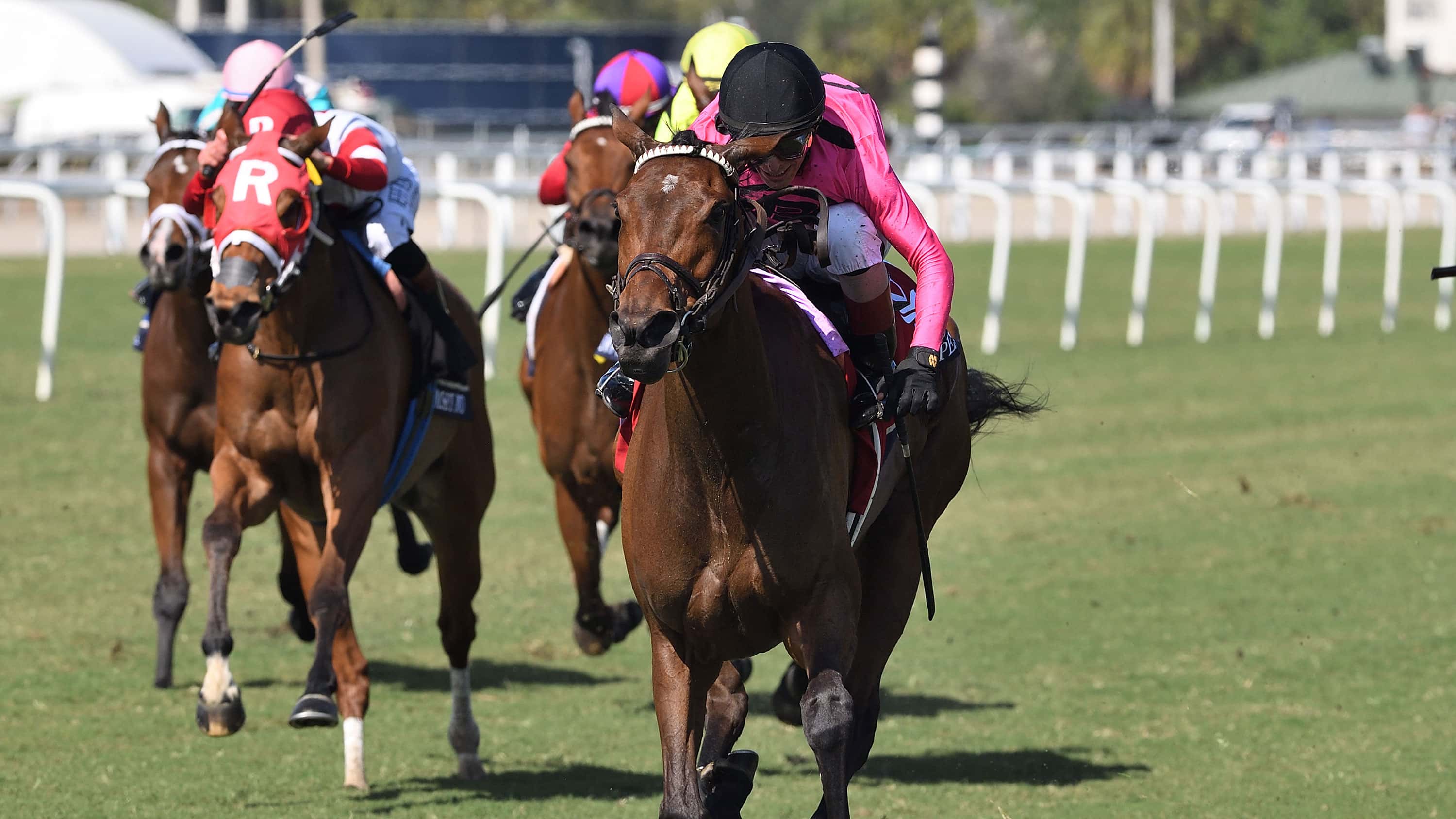 Speed Shopper Makes the Grade in Christophe Clement (G3)