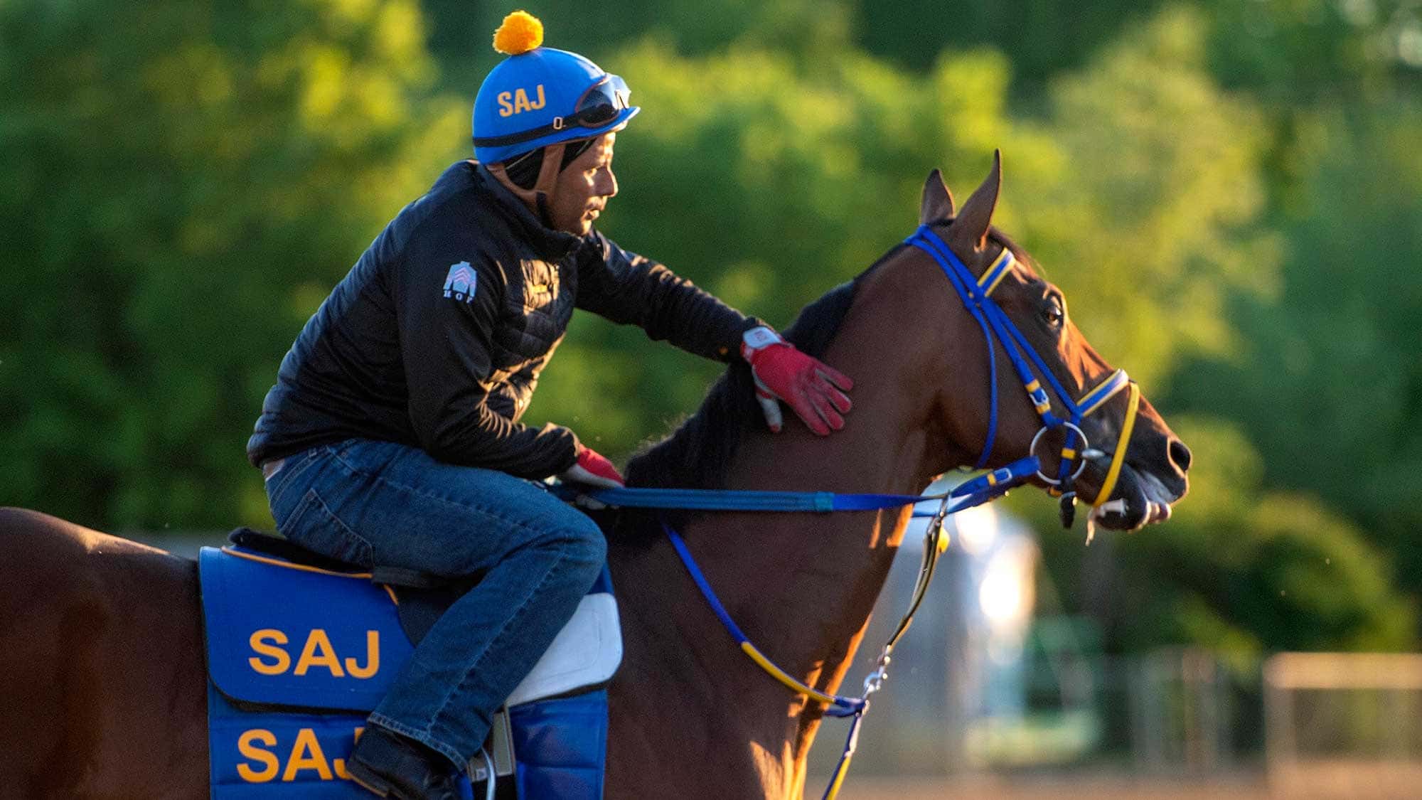 skippylongstocking-mjc