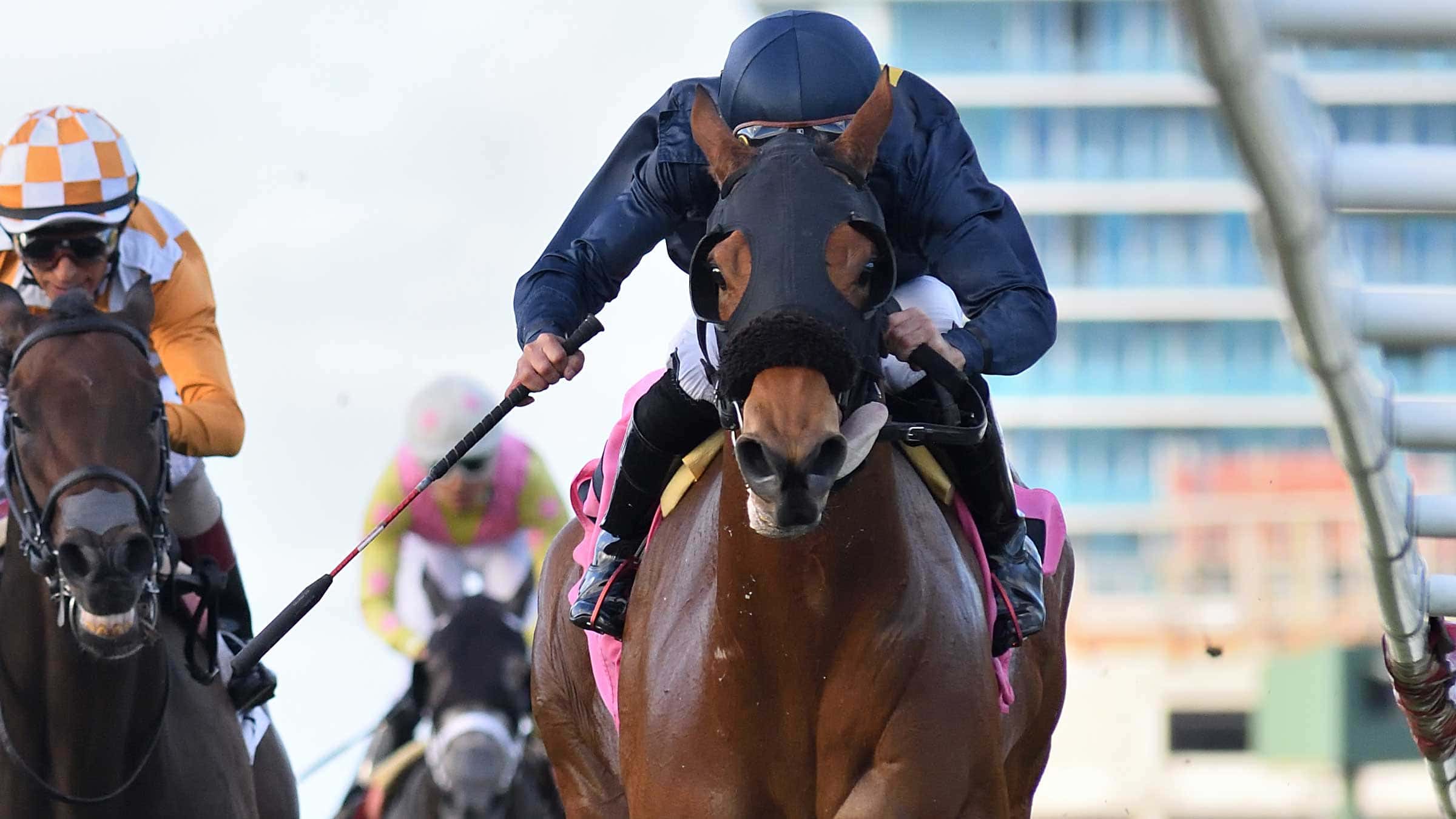 Epona’s Hope Looks to Extend Streak in Captiva Island