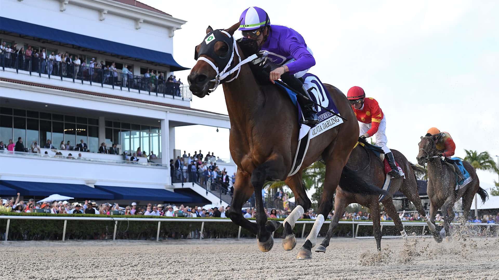 G2 Winner Olivia Darling Puts Motherhood on Hold