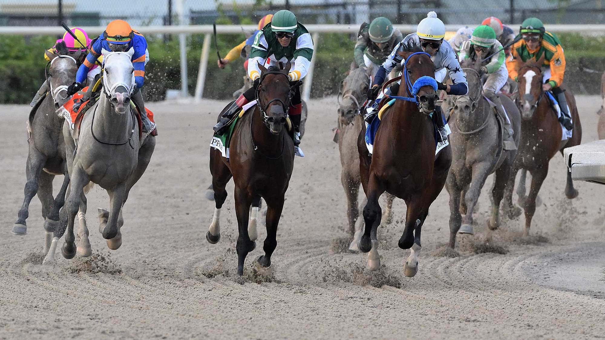 gulfstream-park-race-tapeta