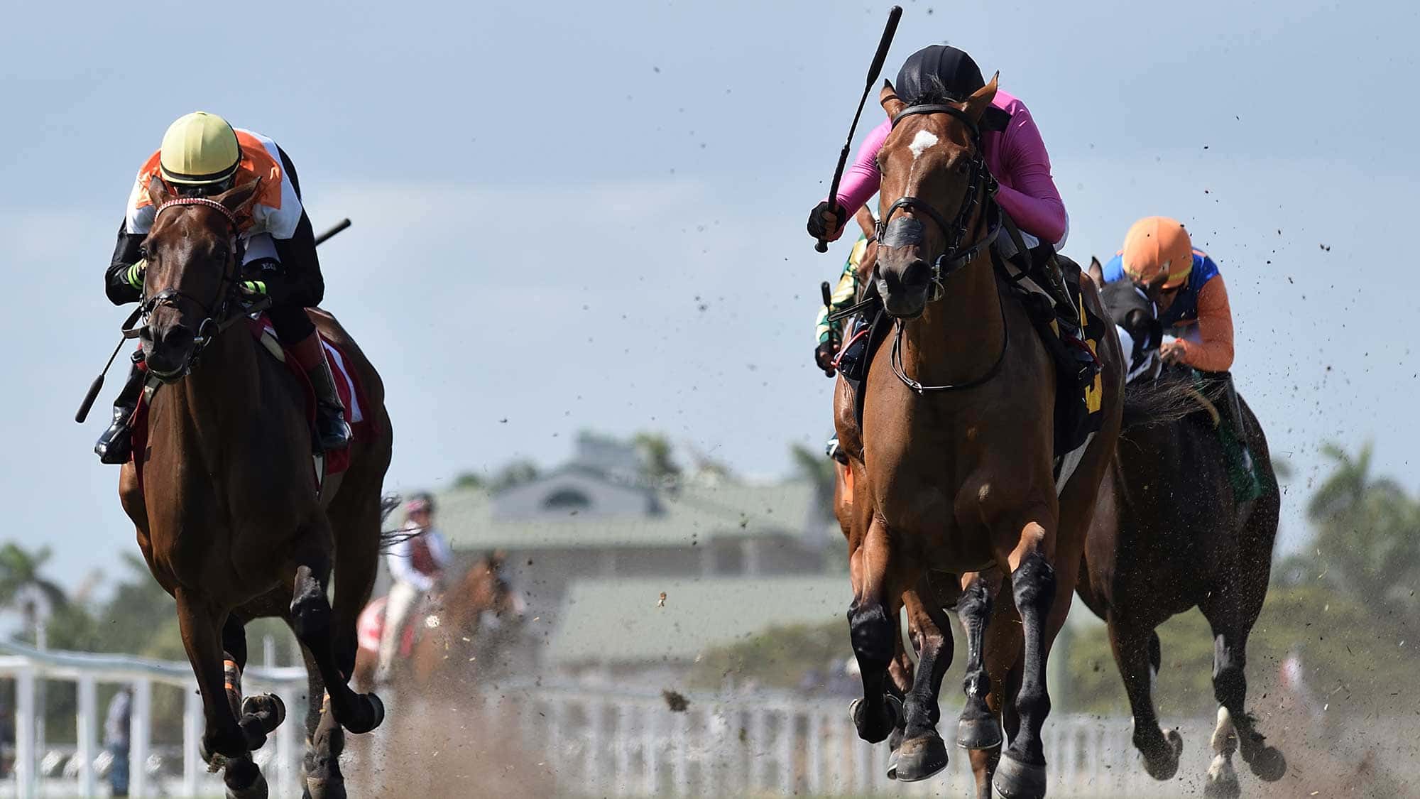 Join-the-Dance-the-Monroe