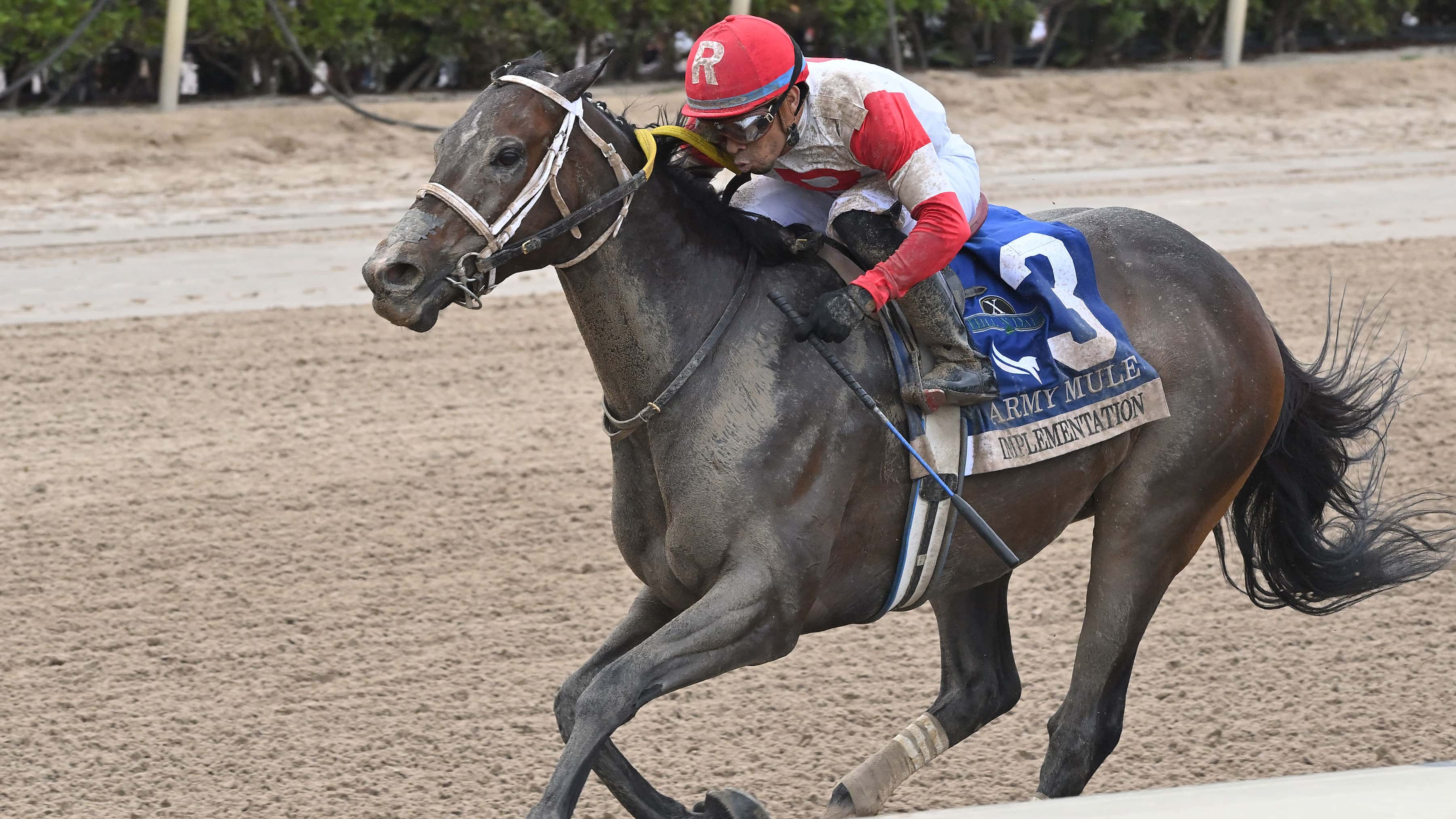 Implementation Has Something to Prove in Saturday’s Smile Sprint