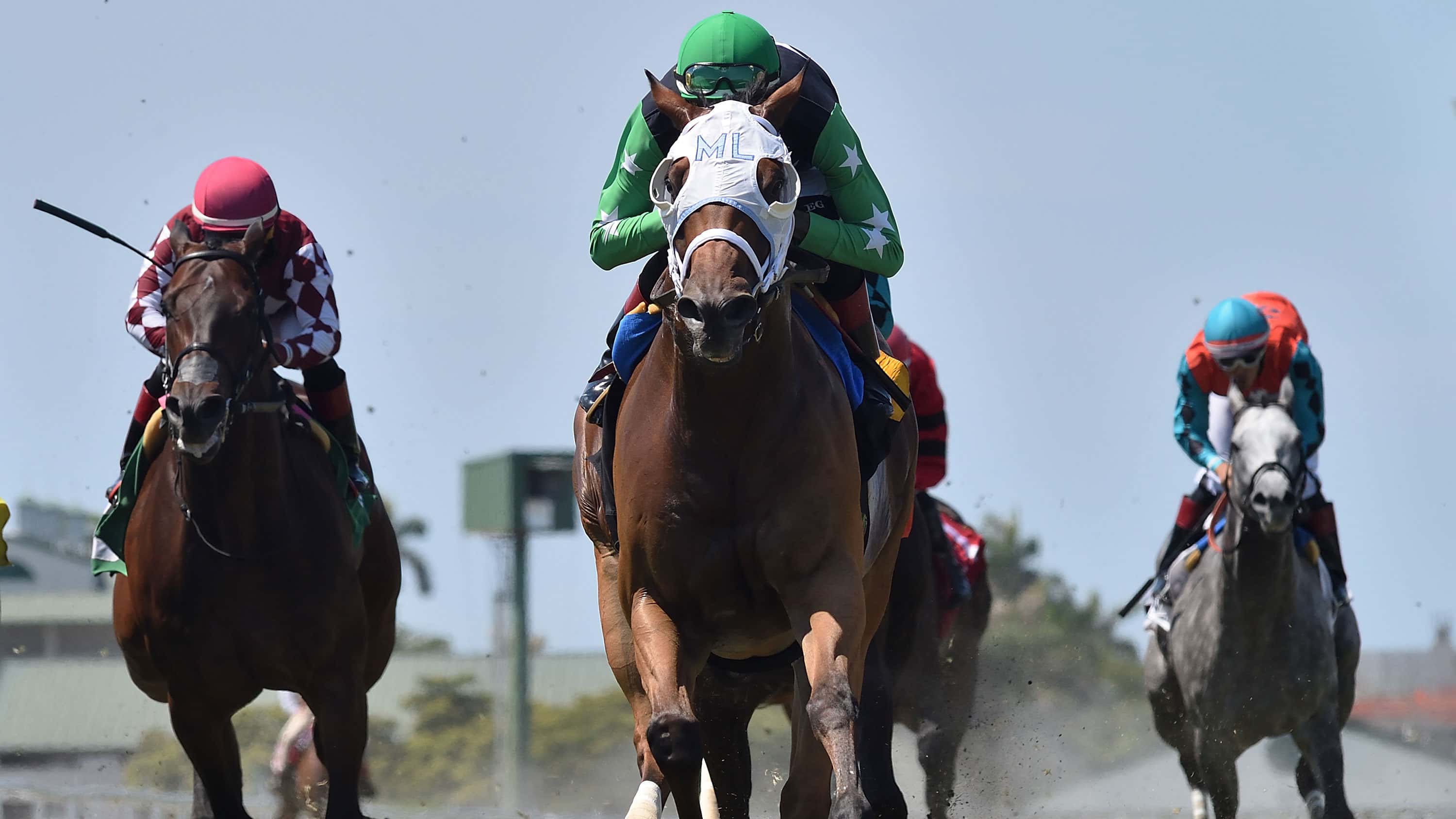 Xy Speed Chasing Fourth Straight Home Win in Friday Feature