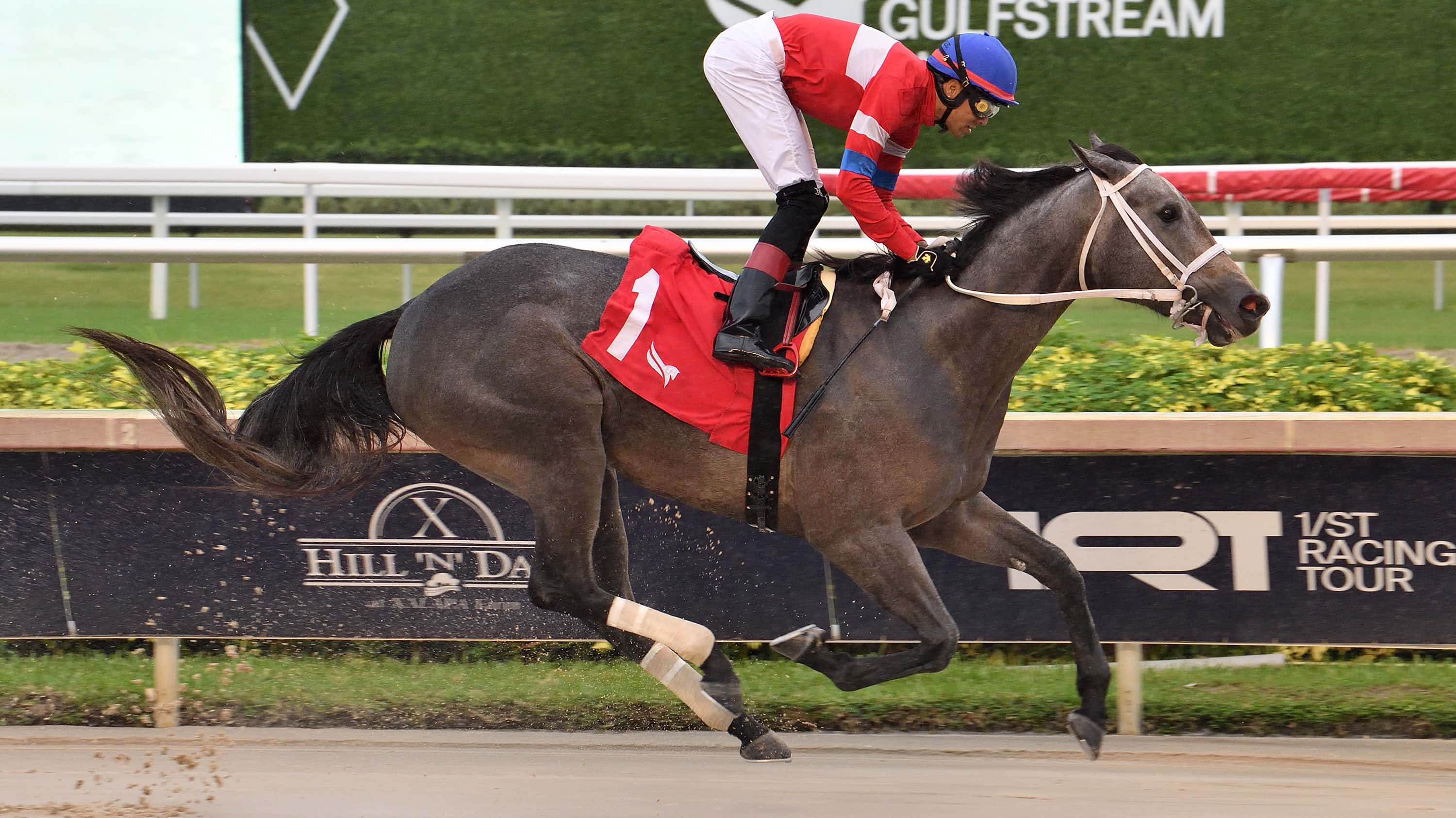 La Gioconda Tests Stakes Company in Juvenile Fillies Sprint