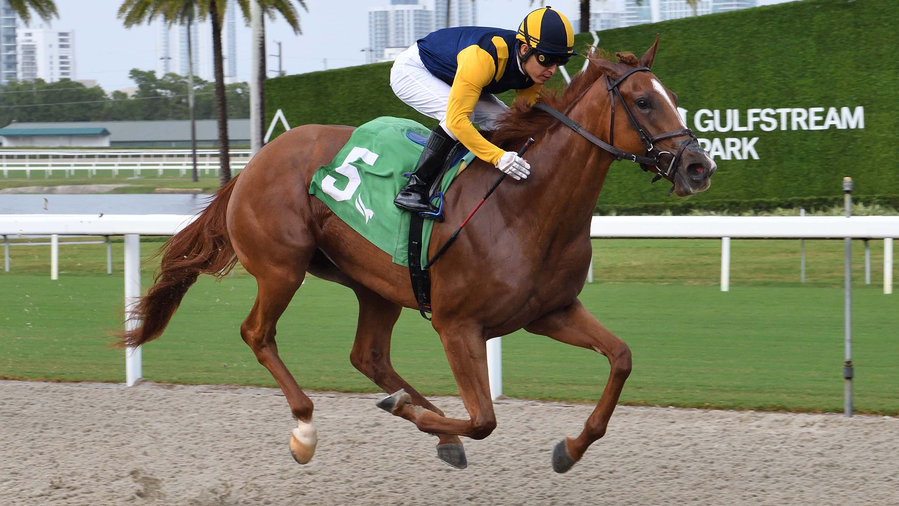 Sister Troienne Makes it Three Straight in Wait a While