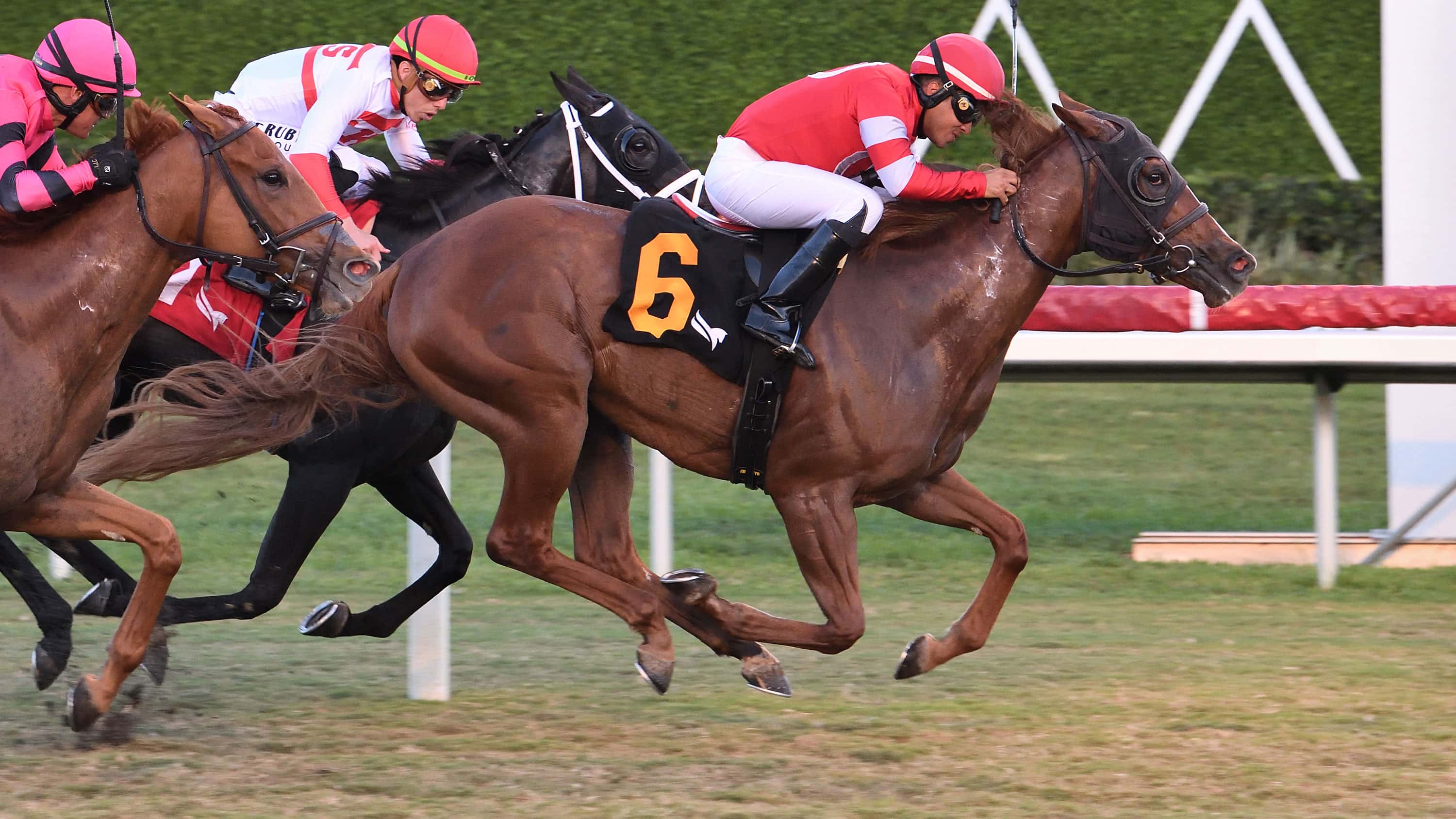 Ifyousaidso Looks to Do Family Proud in Gulfstream Feature
