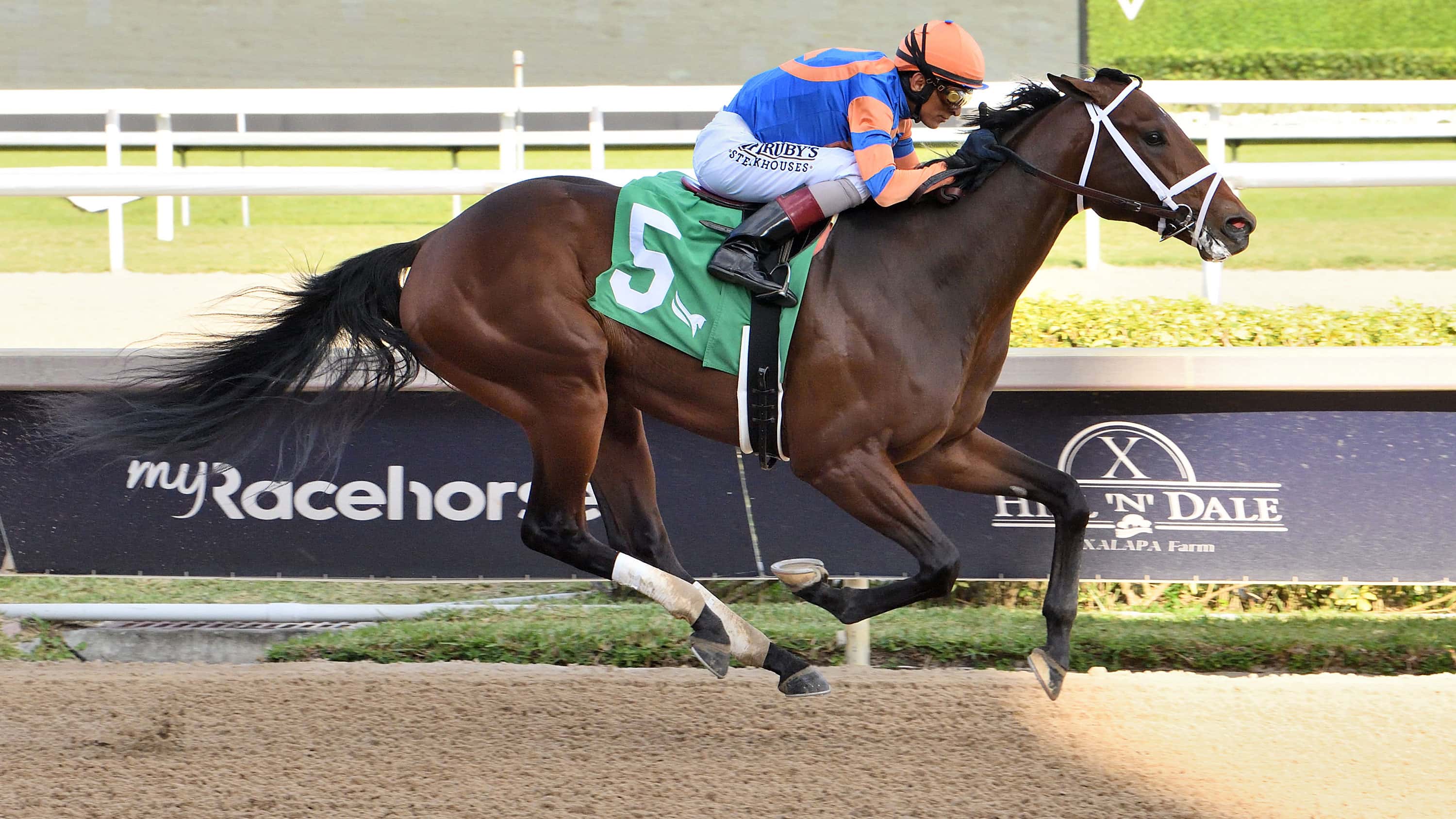 Grande ‘Looks Terrific’ for Return to Action at Gulfstream