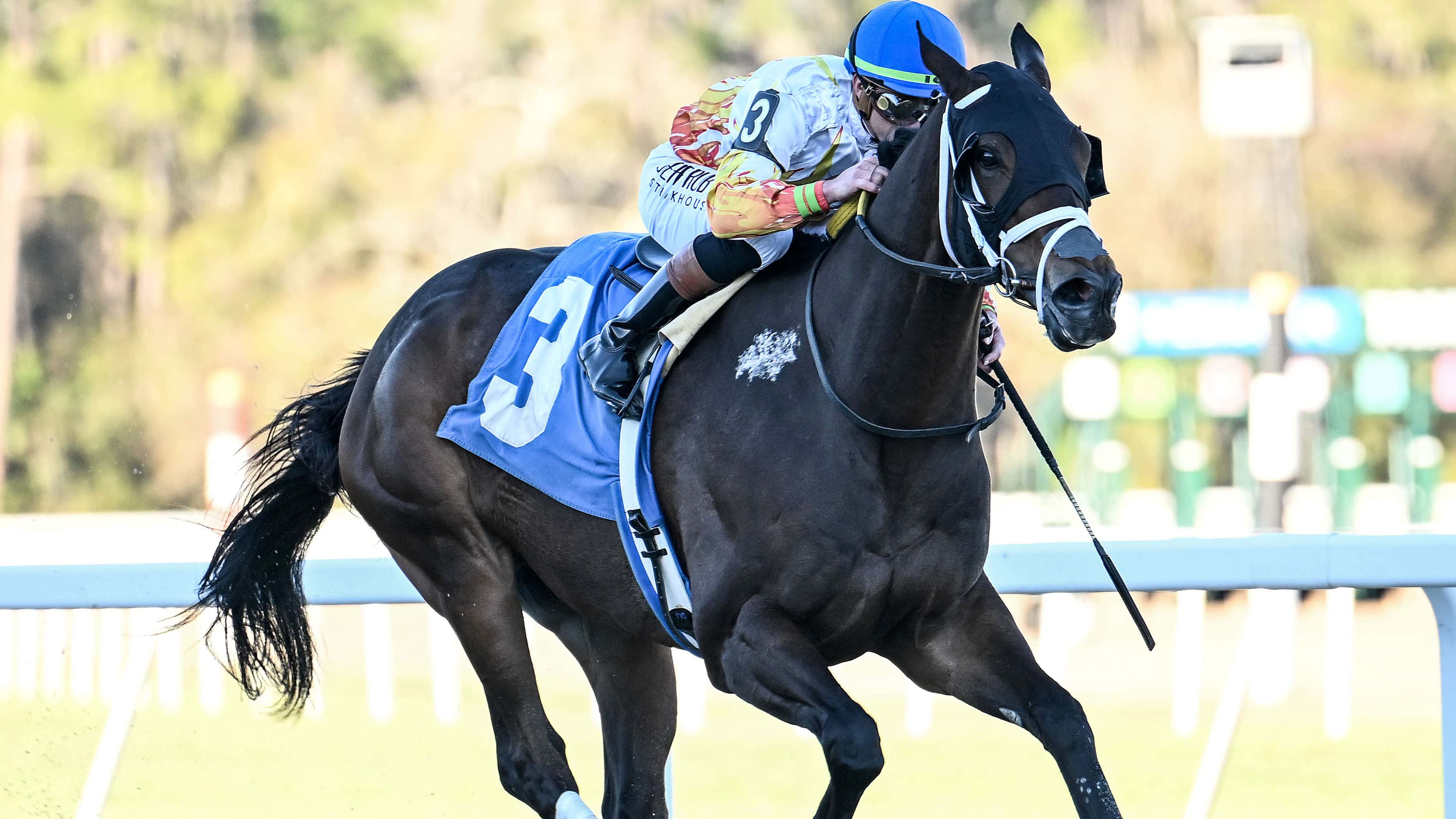 Concrete Glory a Solid Contender in Big Drama Handicap