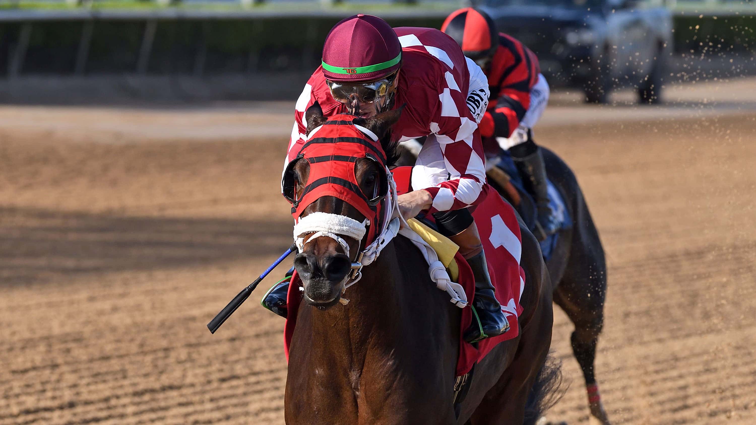 Winplaceandshow Puts Streak to Test in $100,000 Azalea