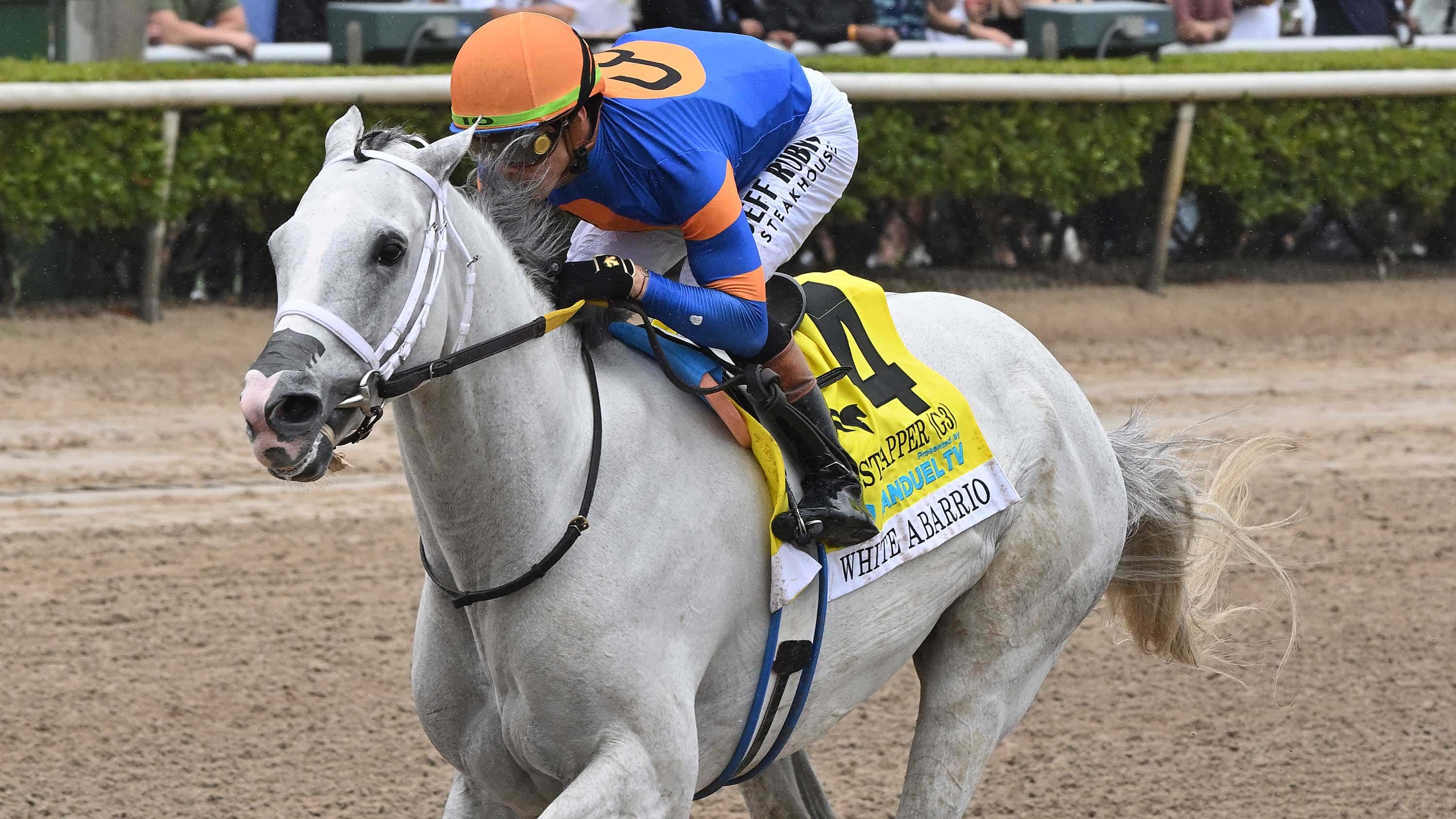 White Abarrio Wins G3 Ghostzapper “Easy as He Can’