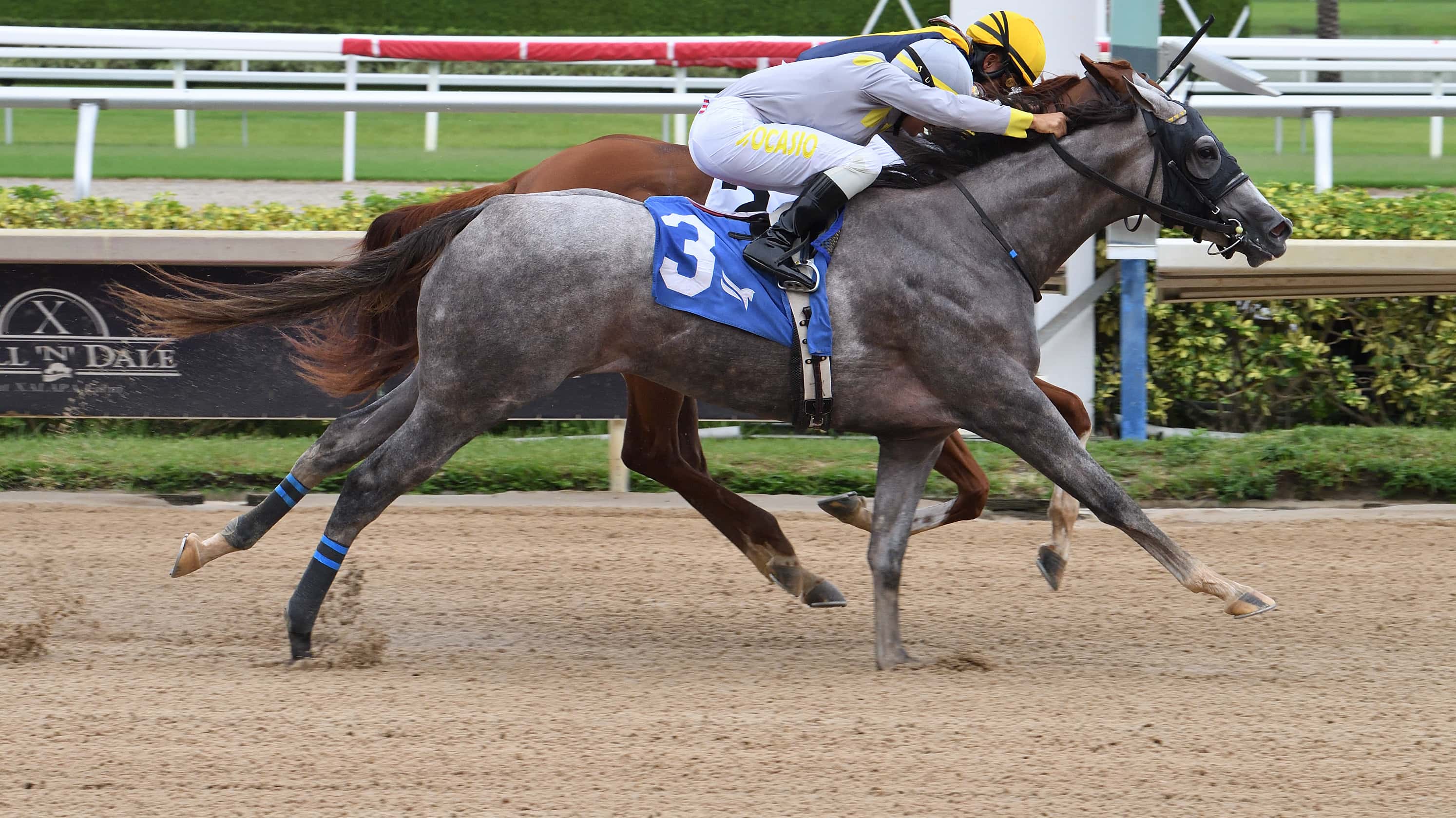 Lennilu Returns a Thrilling Winner in $100,000 Desert Vixen