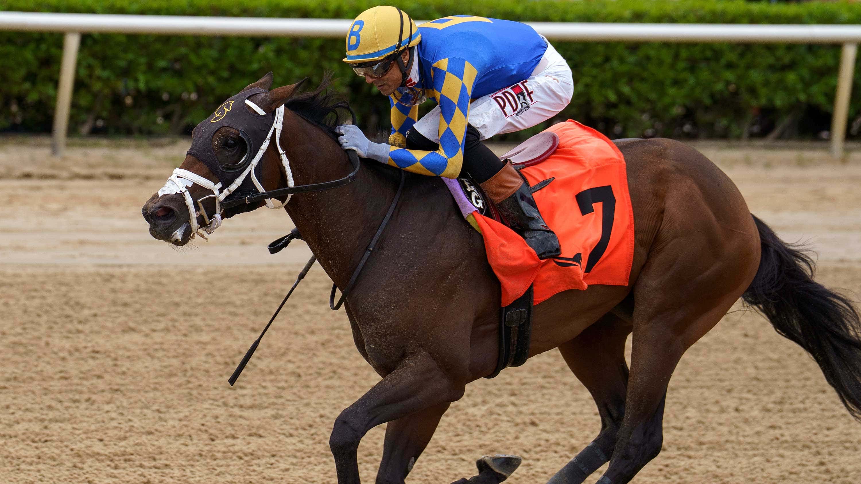 Stick Talk Doubles the Fun for Connections with Palm Bay Win