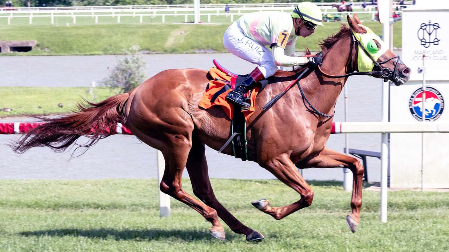 Knockanara Takes Family Legacy into Chasing Artie