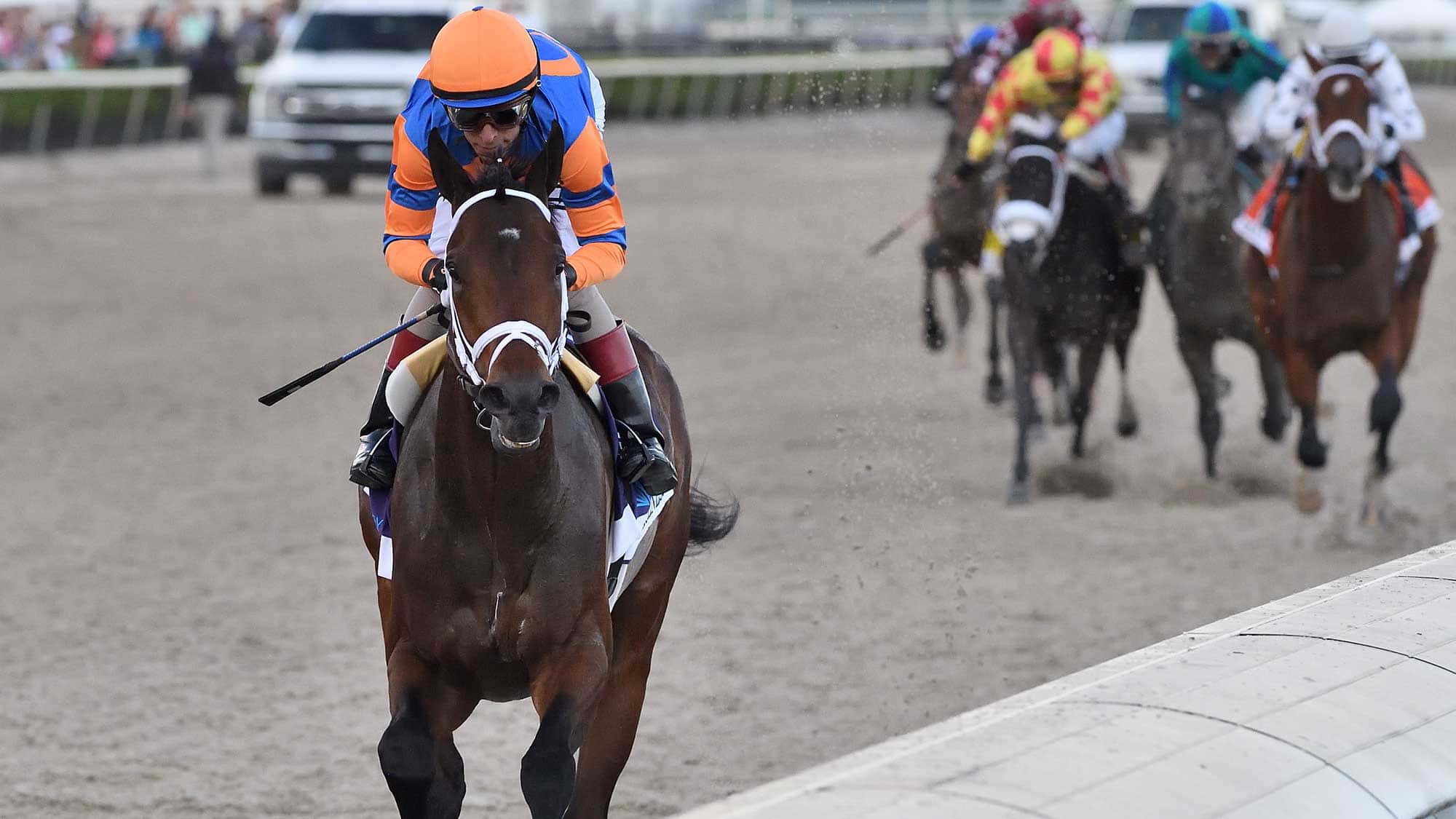 Fierceness-the-FL-Derby2