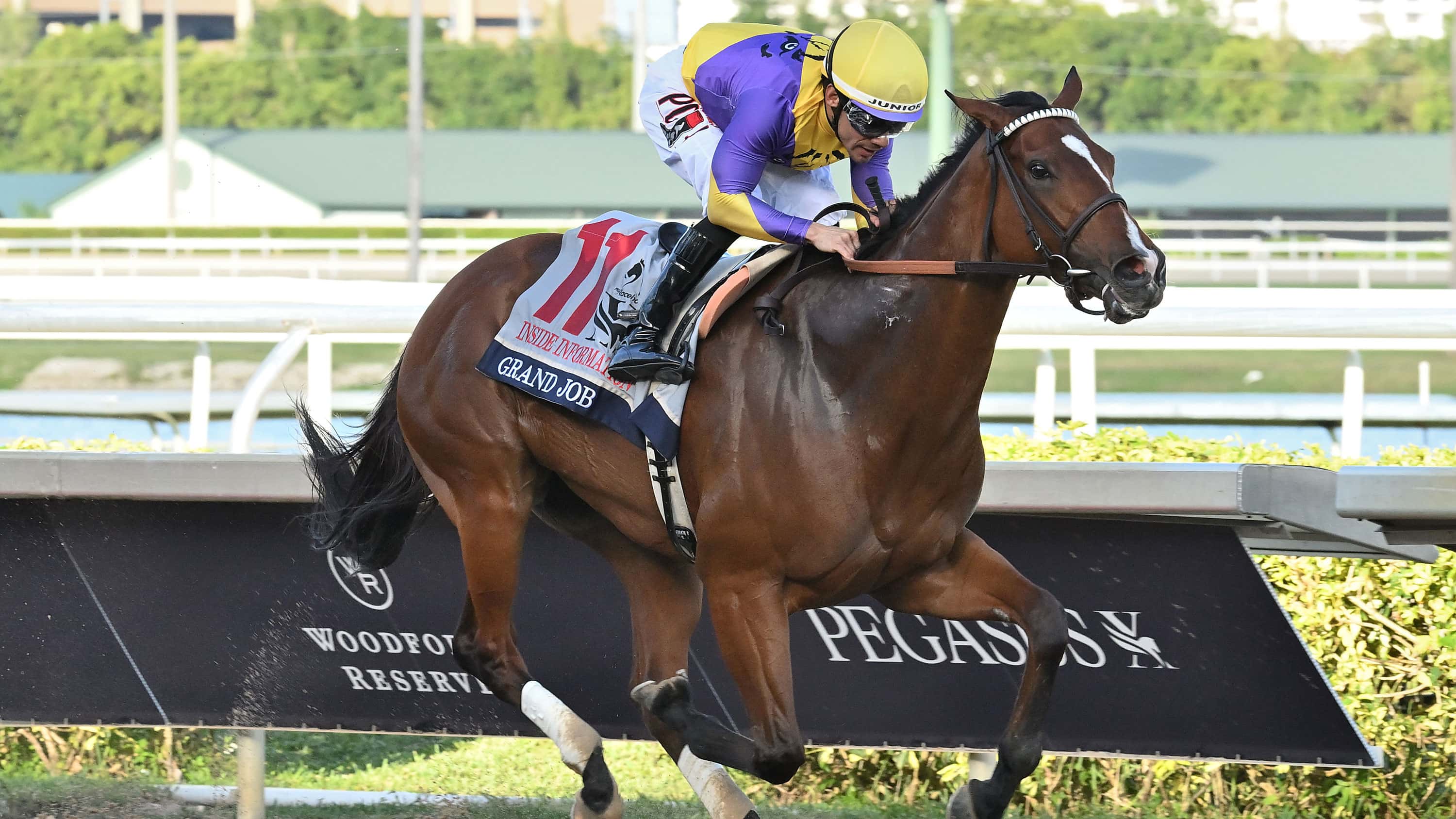 Grand Job Scores Popular Win in Inside Information (G2)