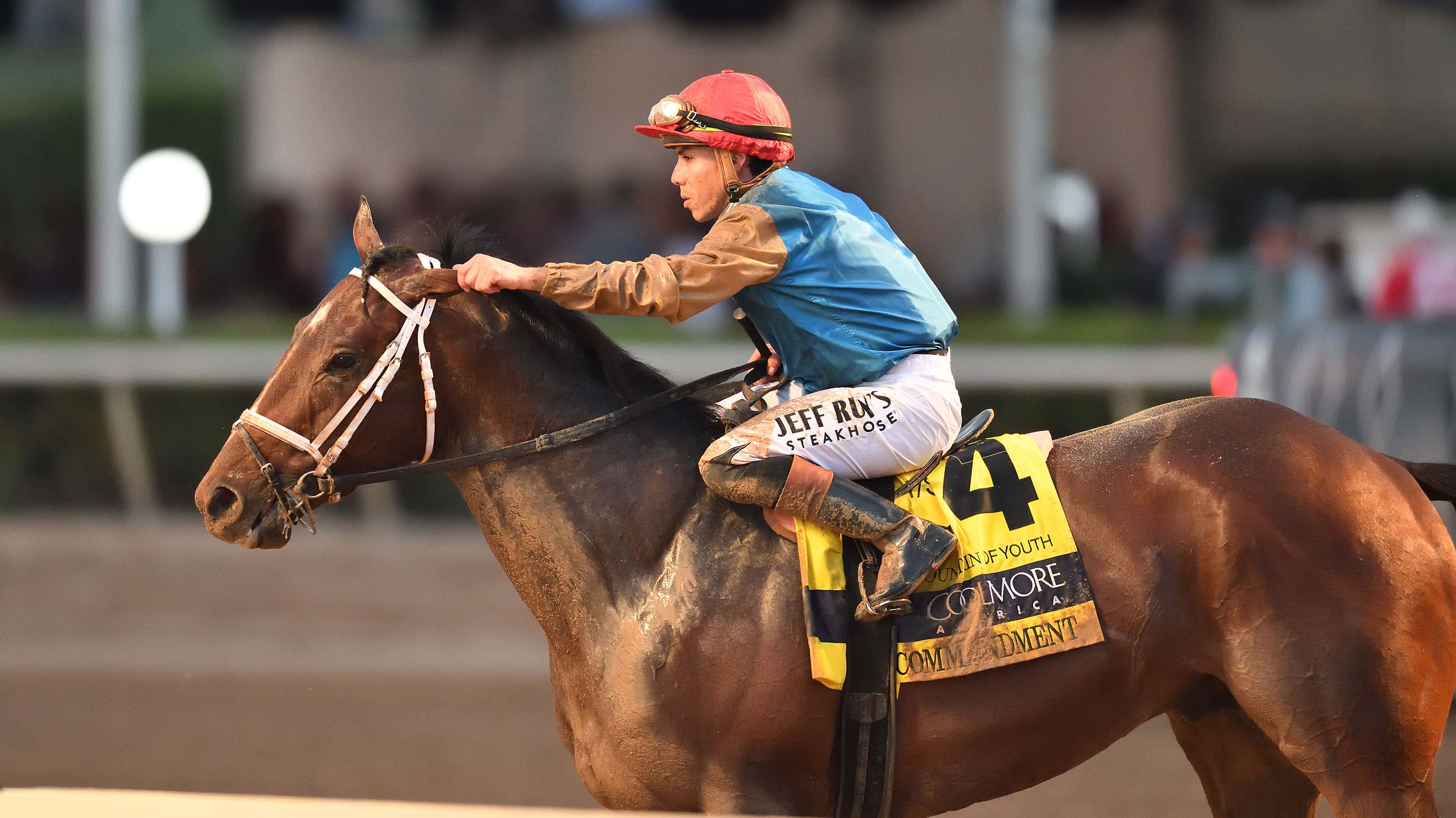 Commandment Passes 2-Turn Test in G2 Coolmore Fountain of Youth