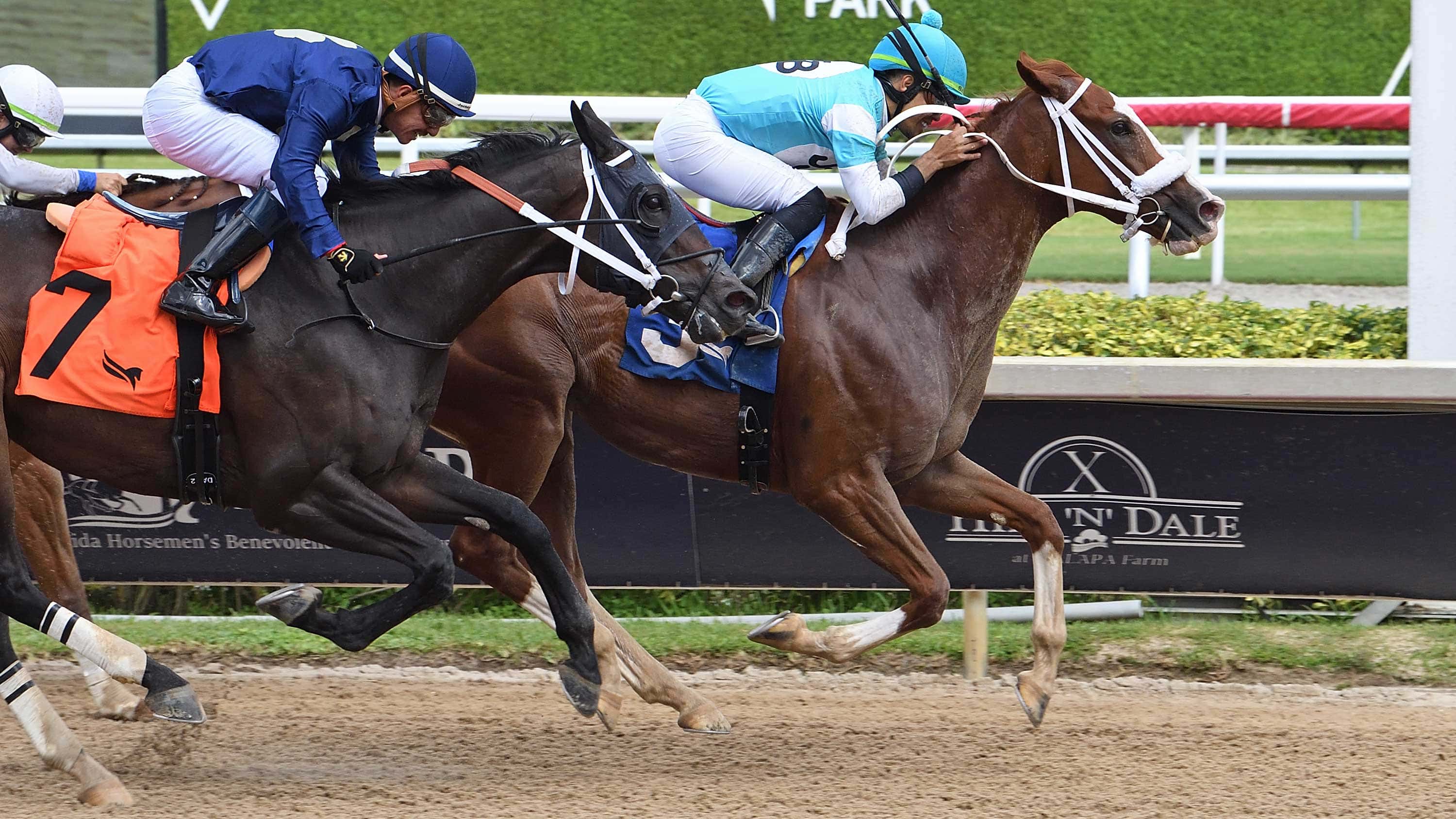 Chrome Ghost Springs $25 Upset in Duke of Mischief Handicap