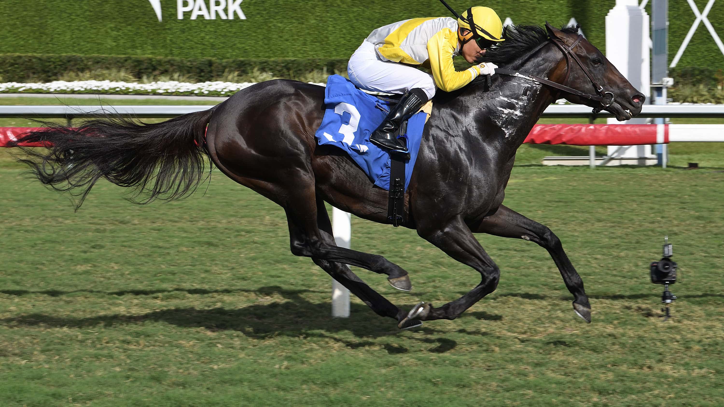 Litigation Gets Winning Verdict in $125,000 Silks Run