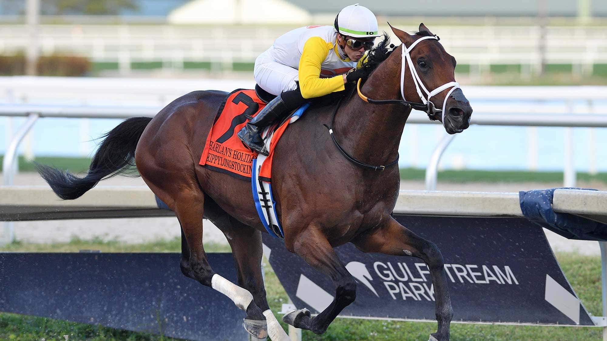 Skippylongstocking-the-Harlans-Holiday2