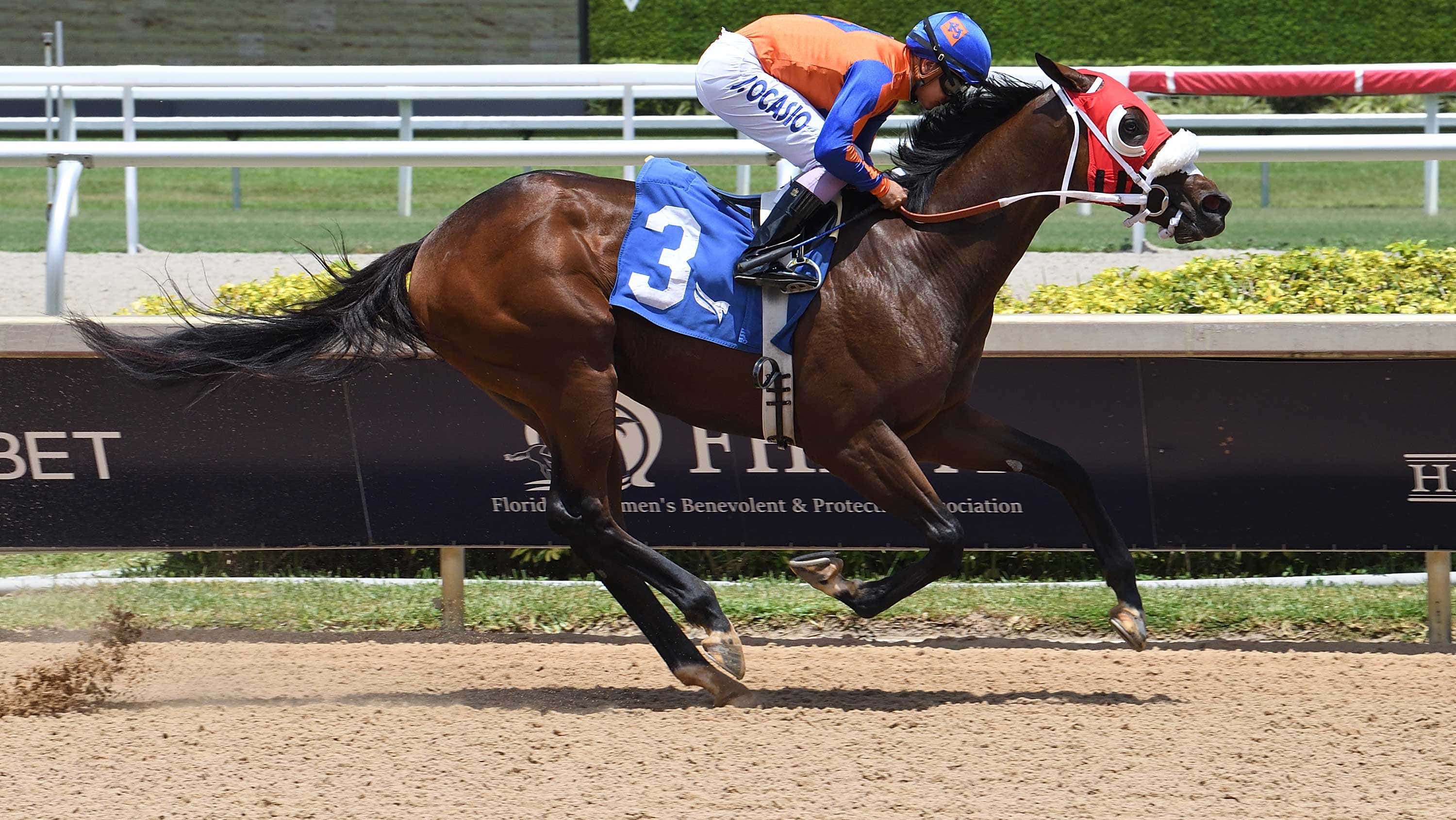 Breeders’ Cup Possible for Undefeated Juvenile Sum of Success