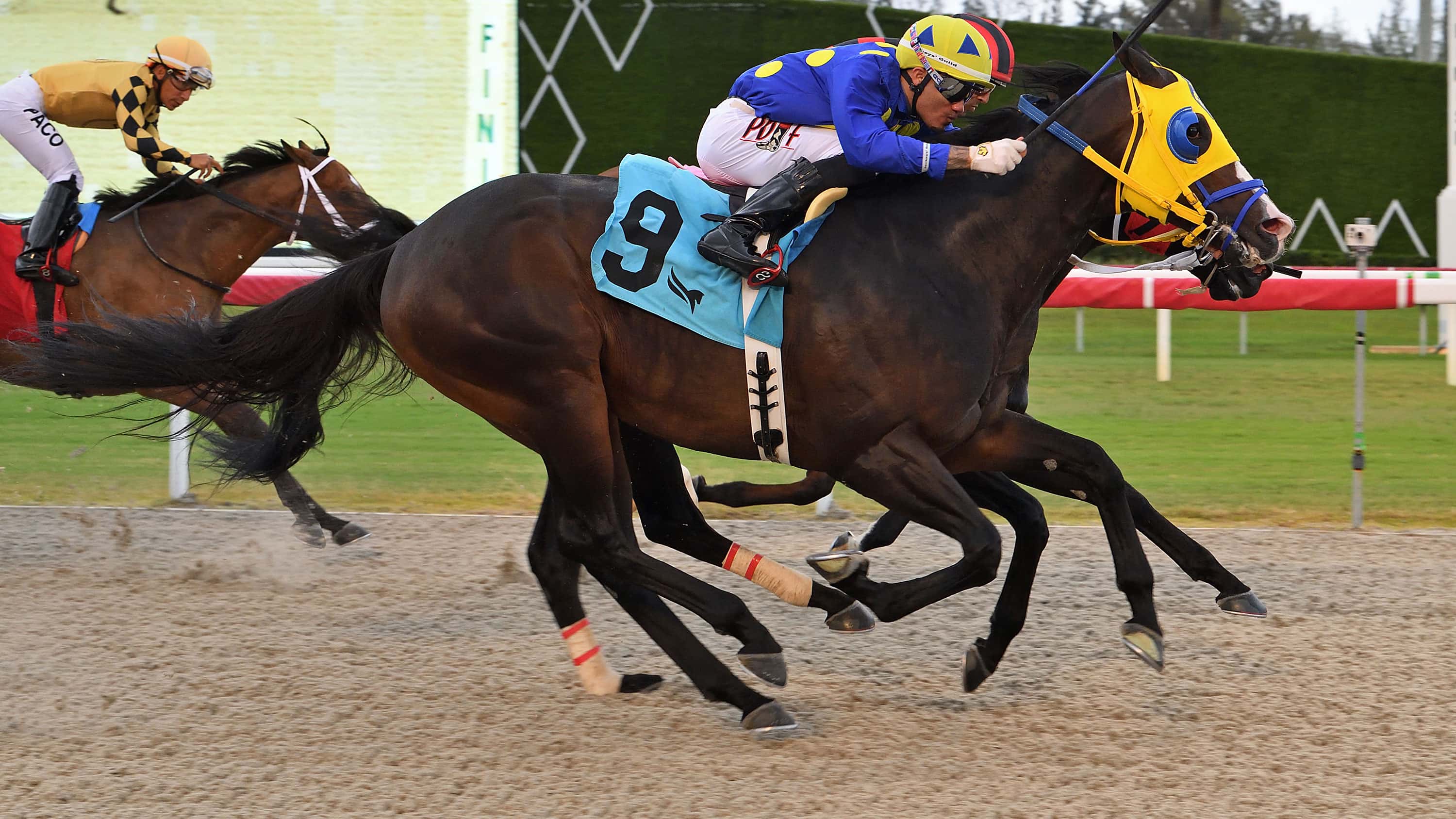 Okiro, Garafolo Team Up for Thirsty Fish Handicap Win