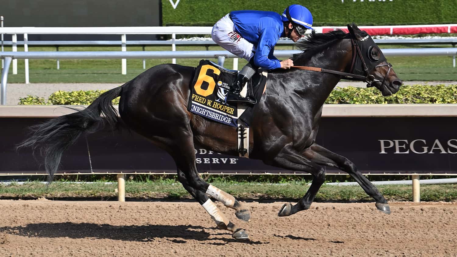 Knightsbridge Odds-On Favorite for G3 Gulfstream Park Mile