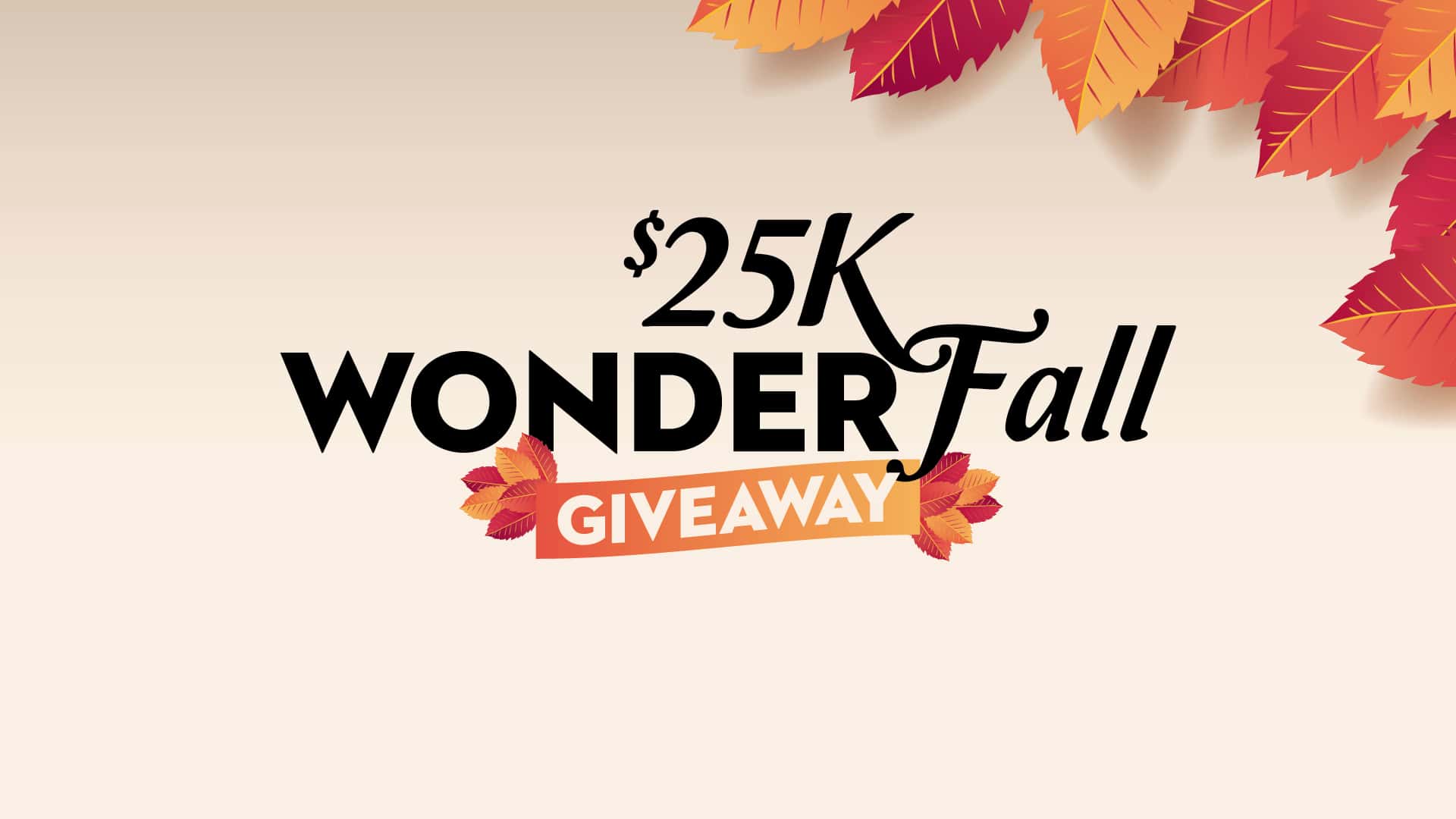 NOVEMBER-TUESDAY-NOVEMBER-29-5pm-9pm