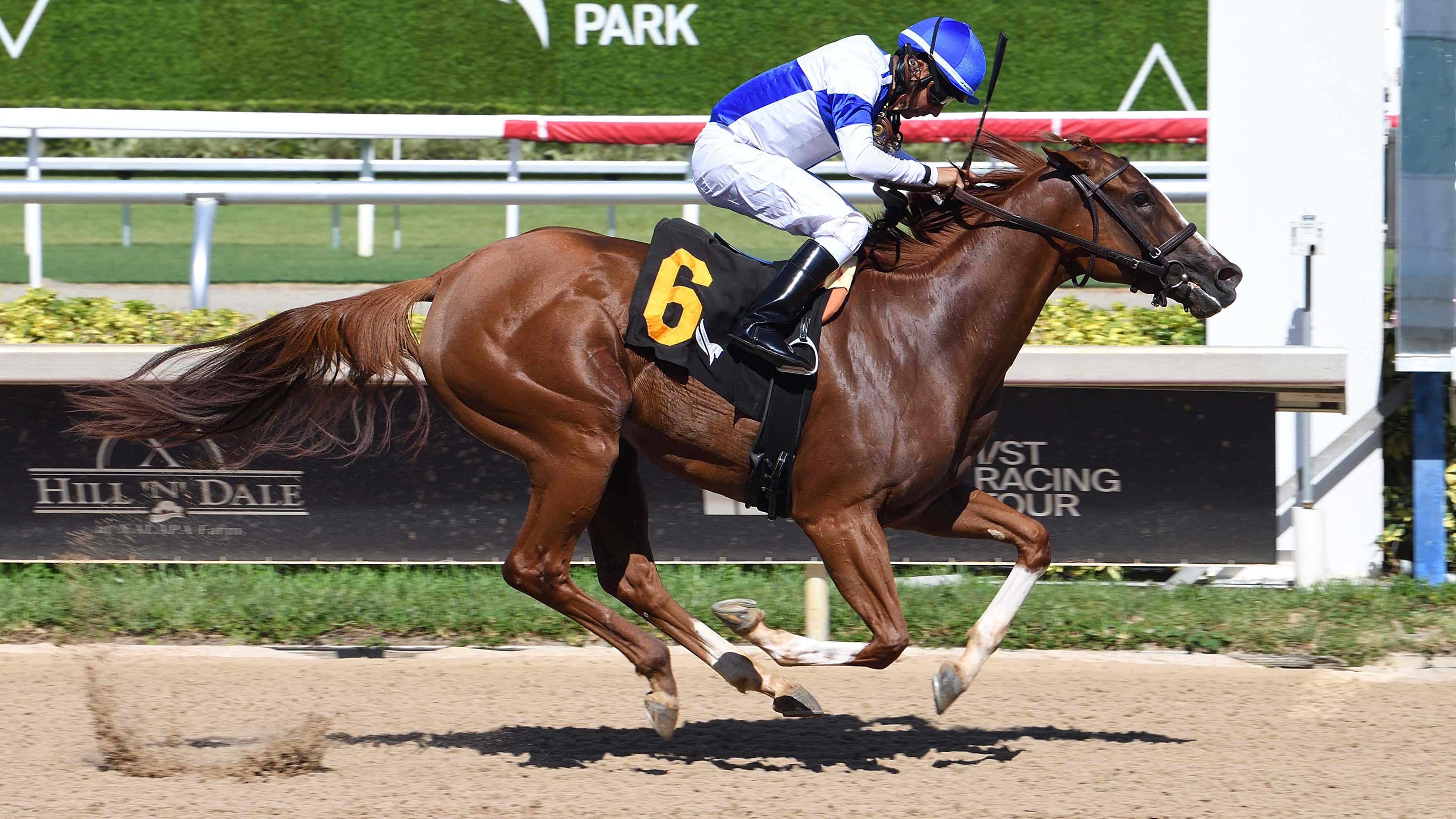 Finding Strength Moving Forward into $100,000 Desert Vixen