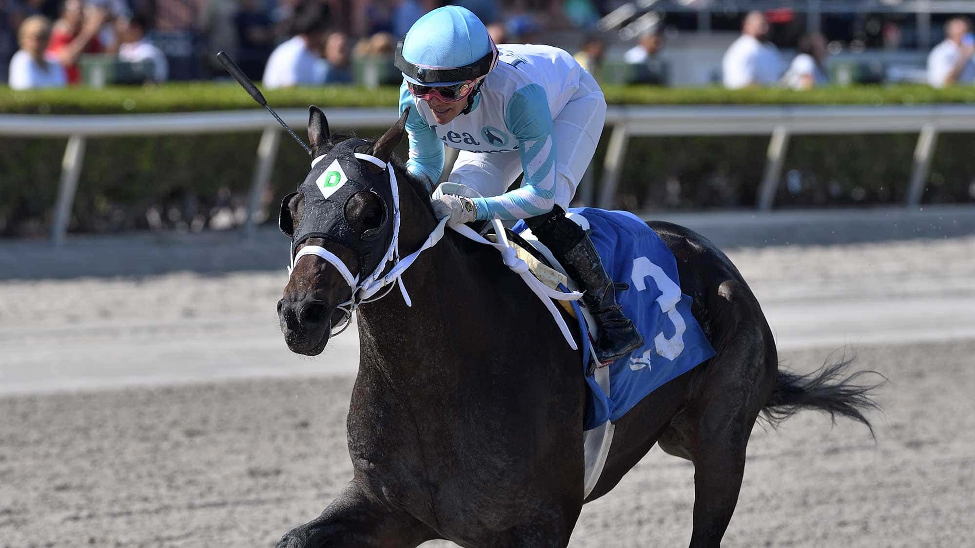 Super-Chow-the-Hutcheson