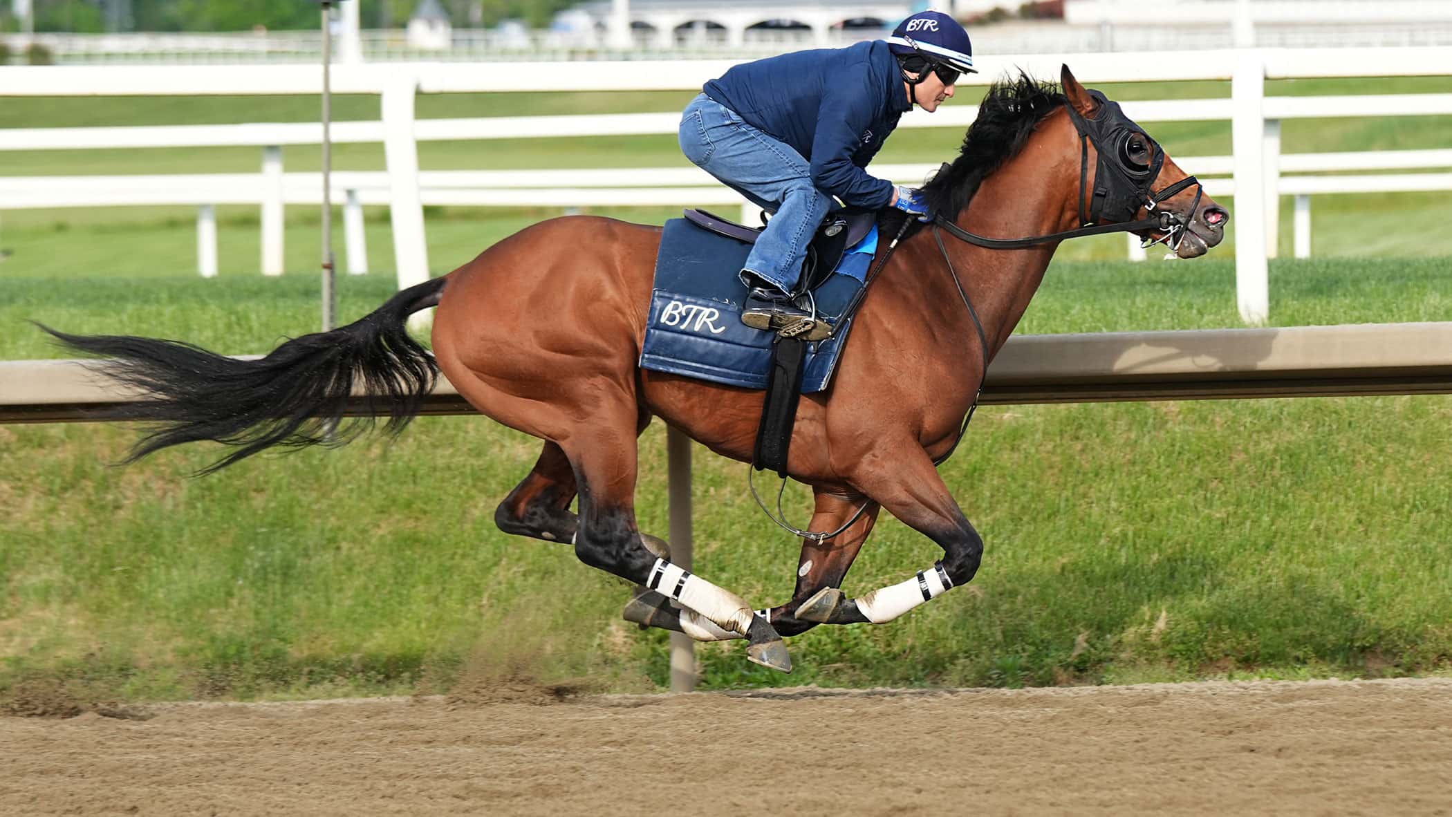 Taj Mahal, The Hell We Did Work Saturday for Preakness 151